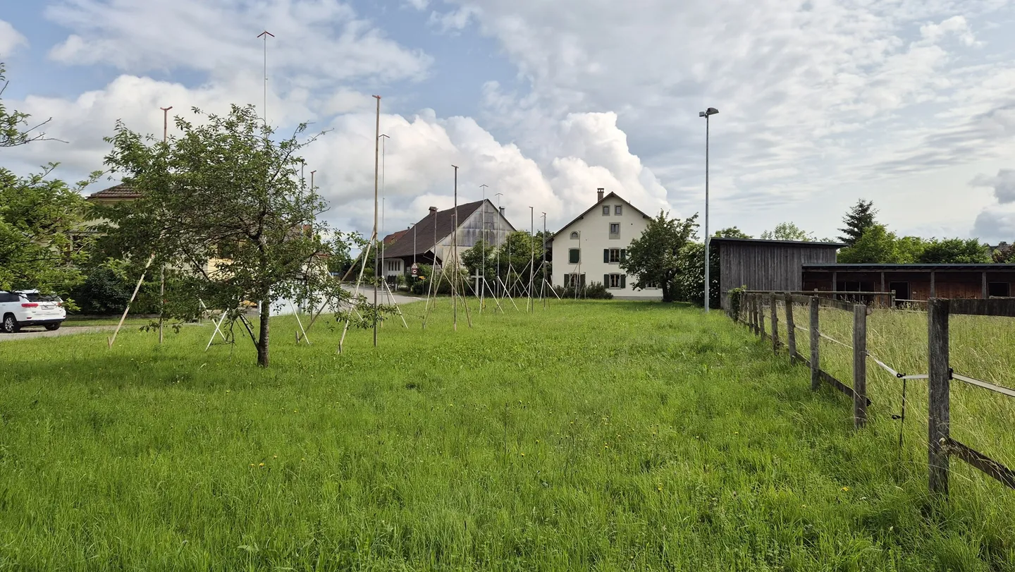 Doppelhaushälfte kaufen - Foto 9 von 9