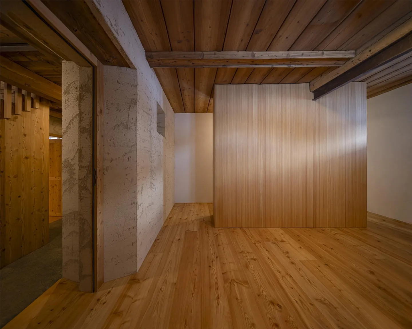 Casa Engadina con Tradizione e Modernità - Foto 7 di 13