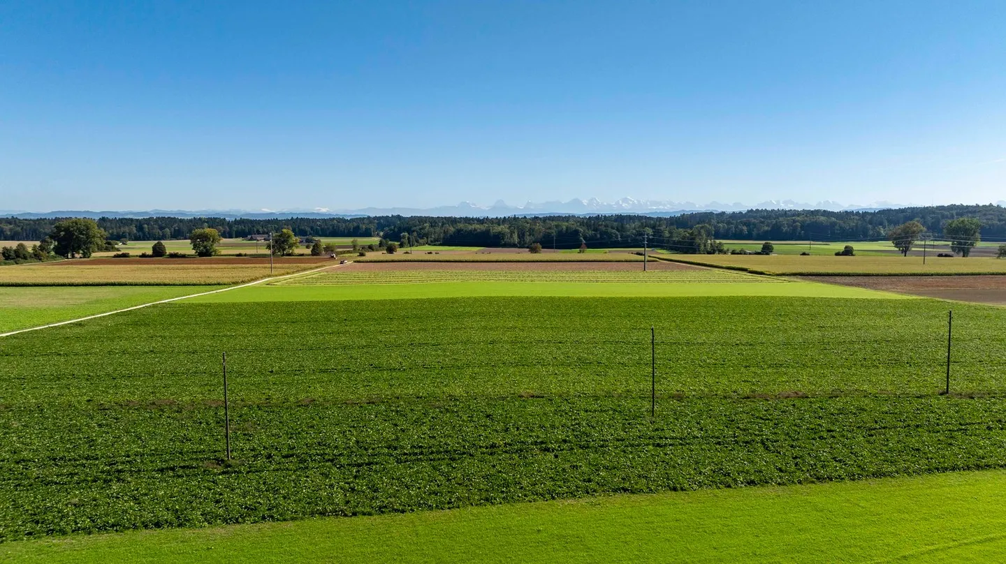 Modernes Wohnen im Buechibärg - Alpensicht garantiert! - Foto 7 von 12