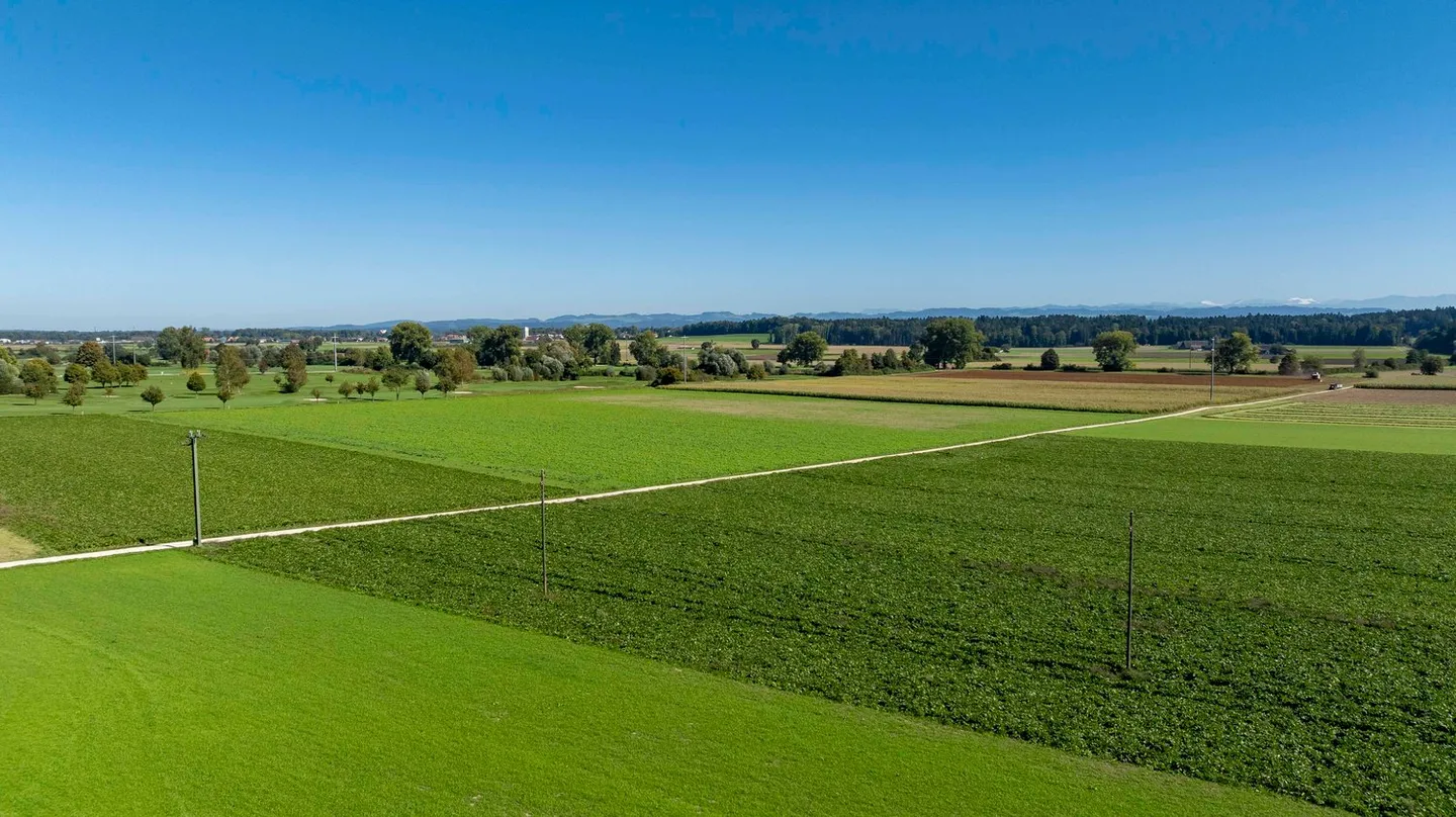 Modernes Wohnen im Buechibärg - Alpensicht garantiert! - Foto 8 von 12