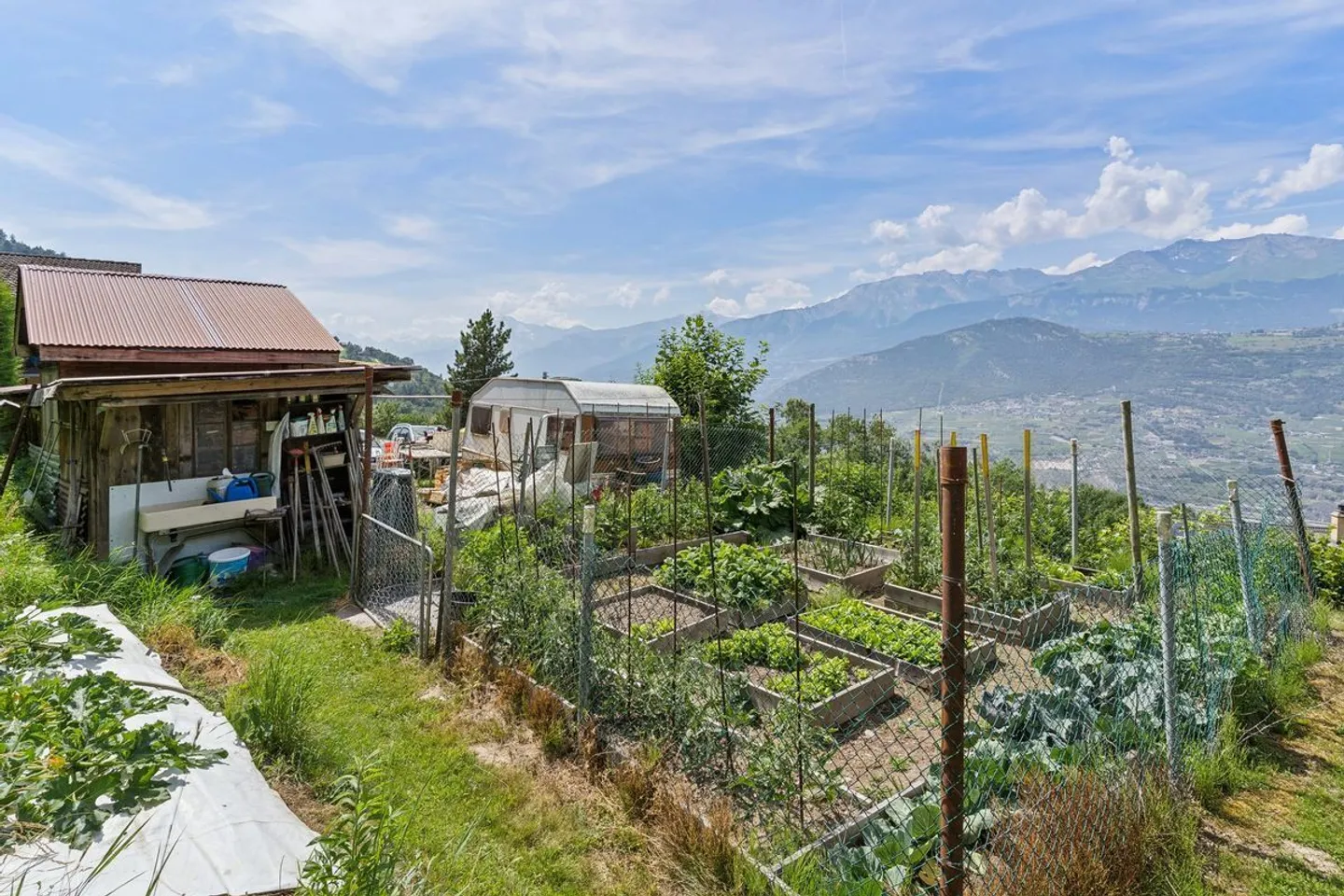 Casa singola in affitto - Foto 3 di 10