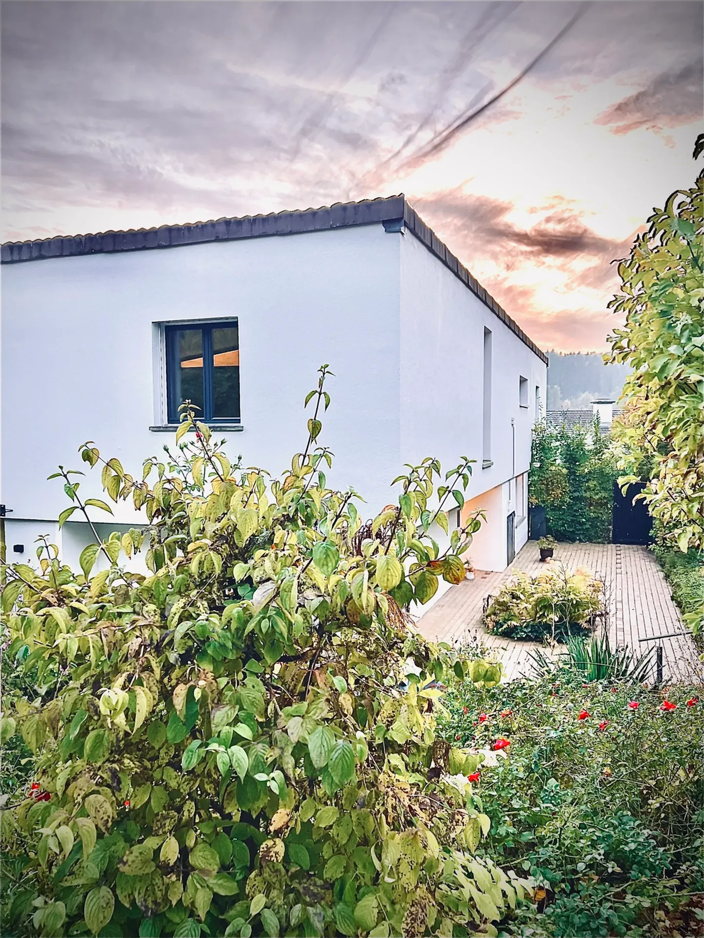 Sunny Family Home near Zurich - Photo 6 of 10