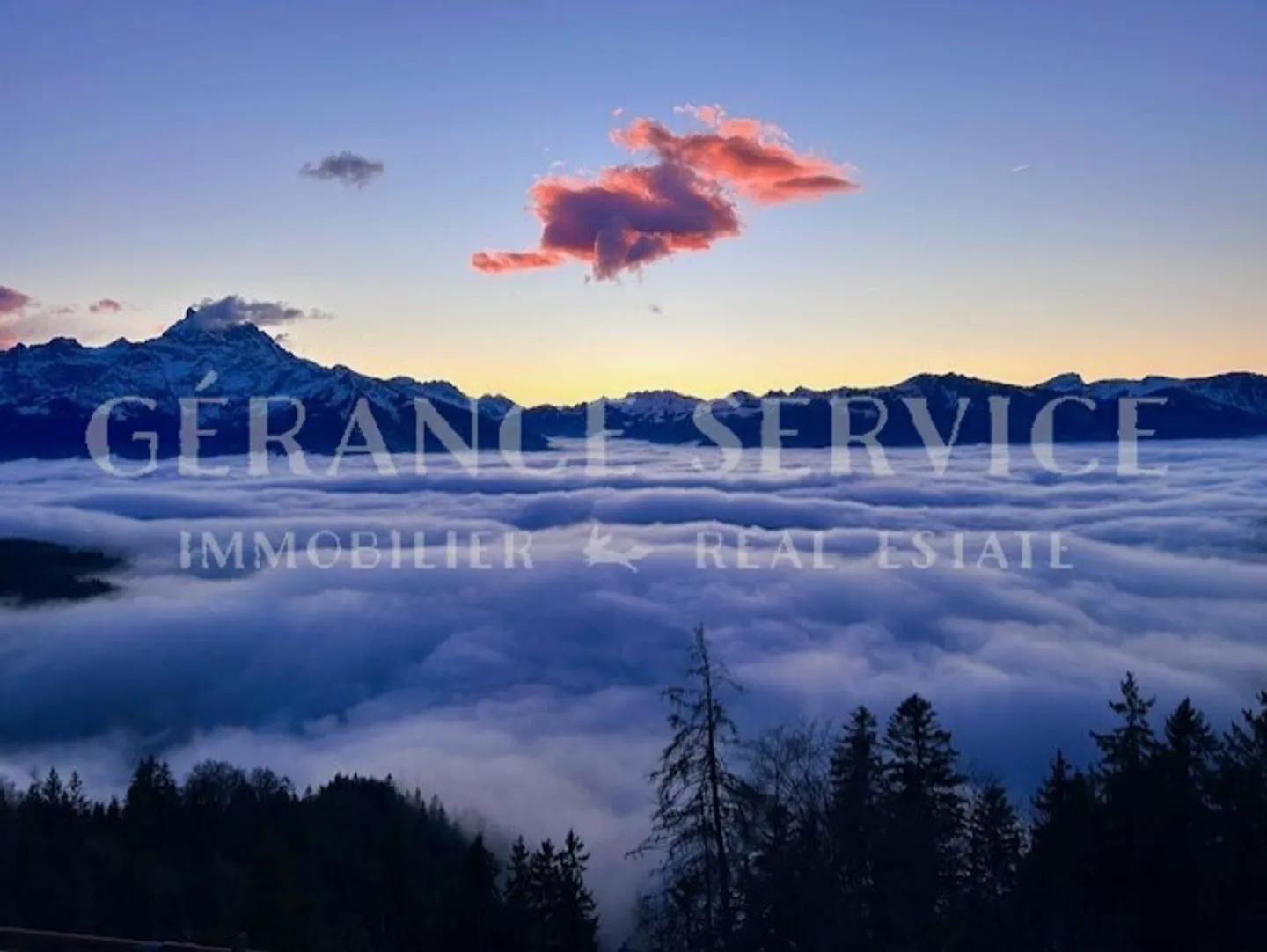 Appartement rénové avec vue - Photo 9 sur 14