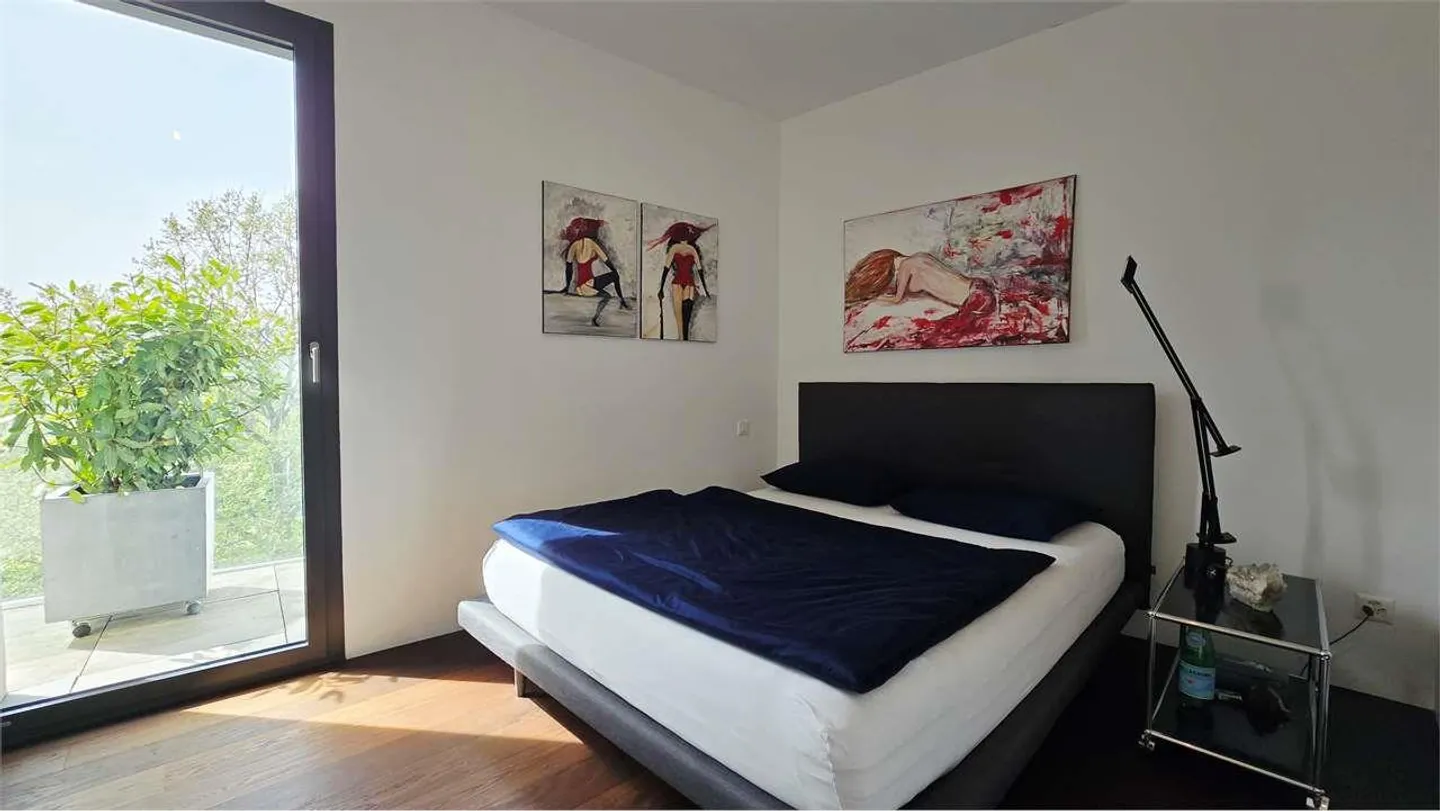 Castagnola : Appartement moderne de 4,5 pièces avec terrasse XXL - Photo 9 sur 13