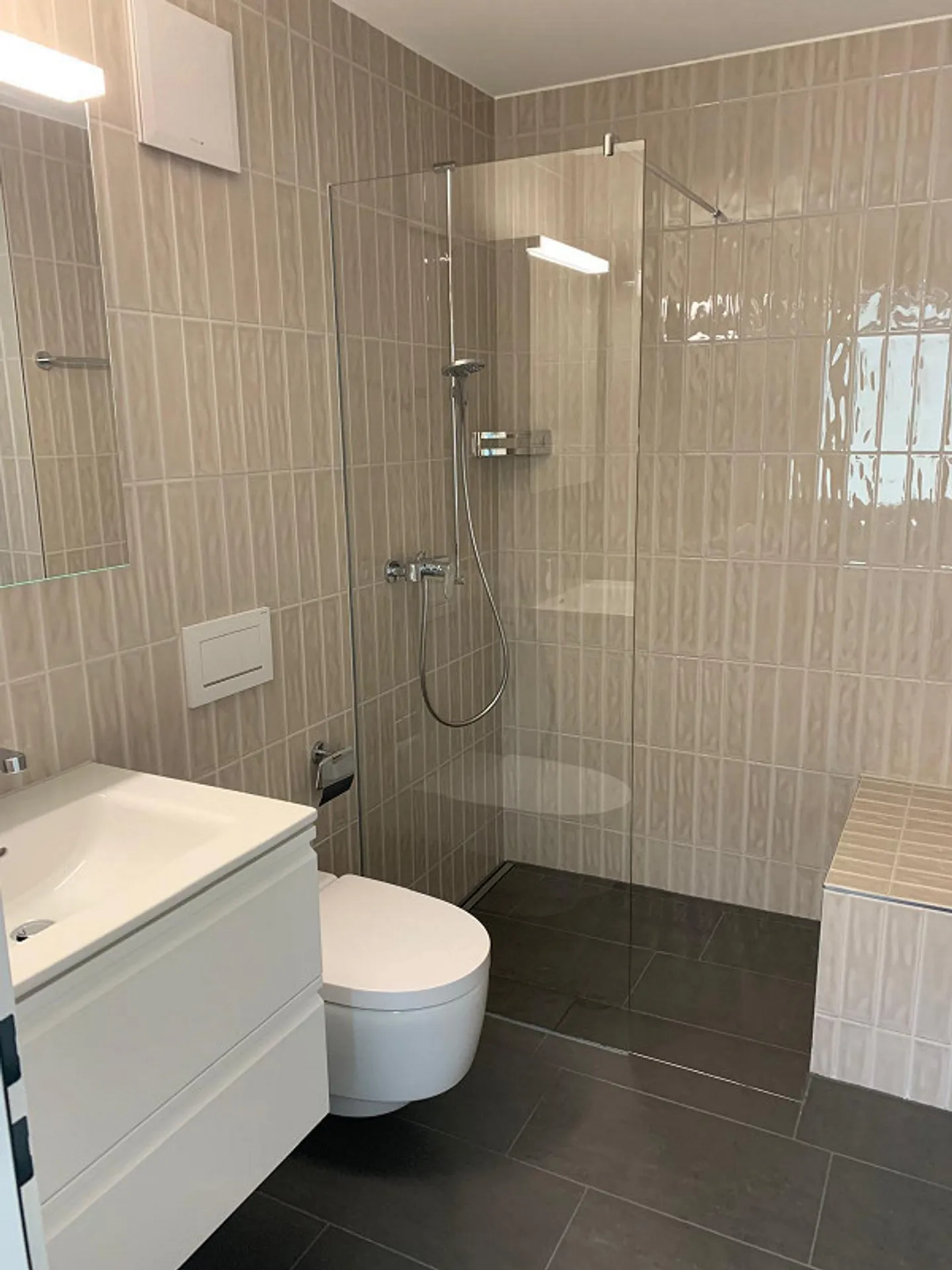 Dream Home with Large Terrace and Lake View - Photo 6 of 7