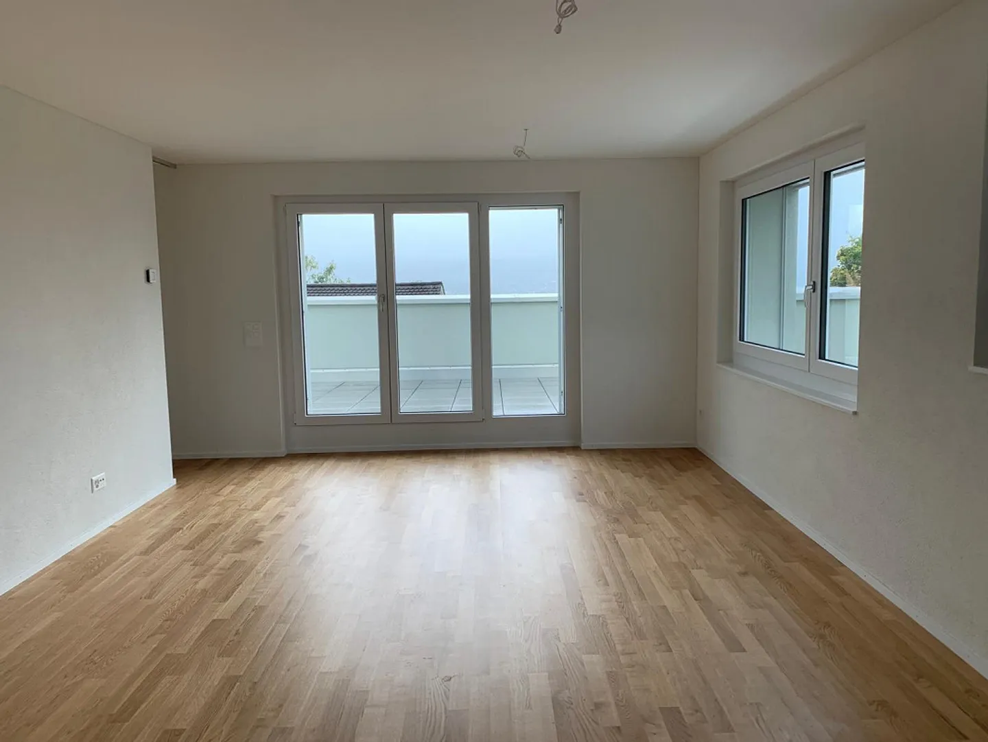 Dream Home with Large Terrace and Lake View - Photo 4 of 7