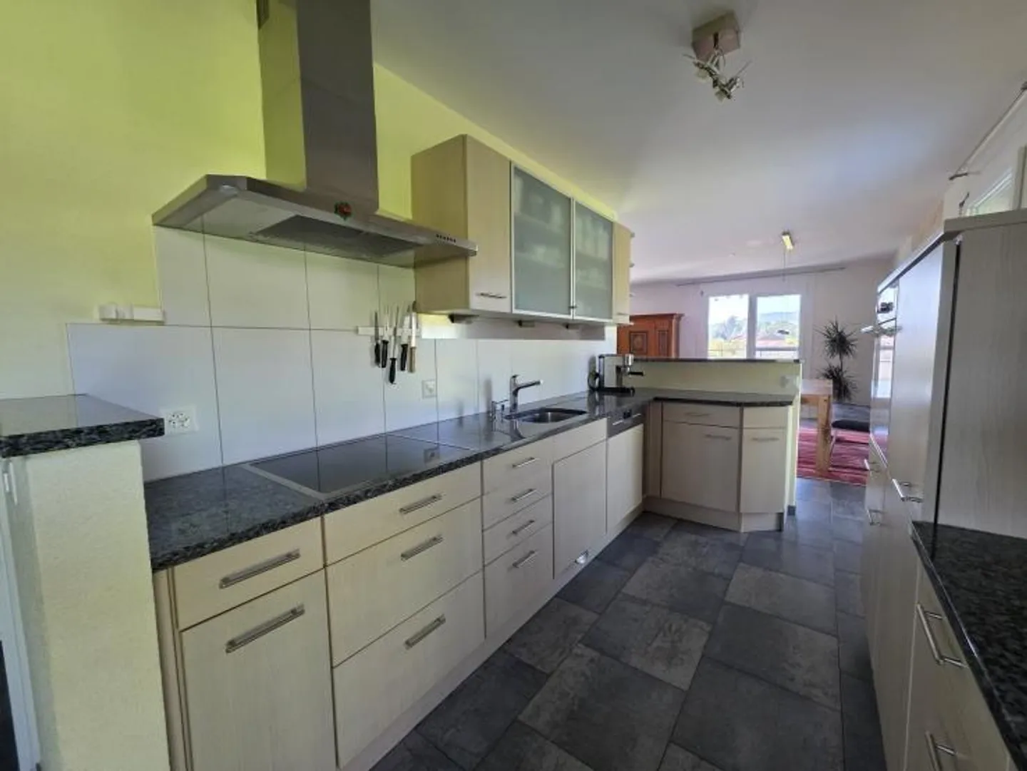 Modern 4.5 room apartment with beautiful views in Villnachern - Photo 5 of 12