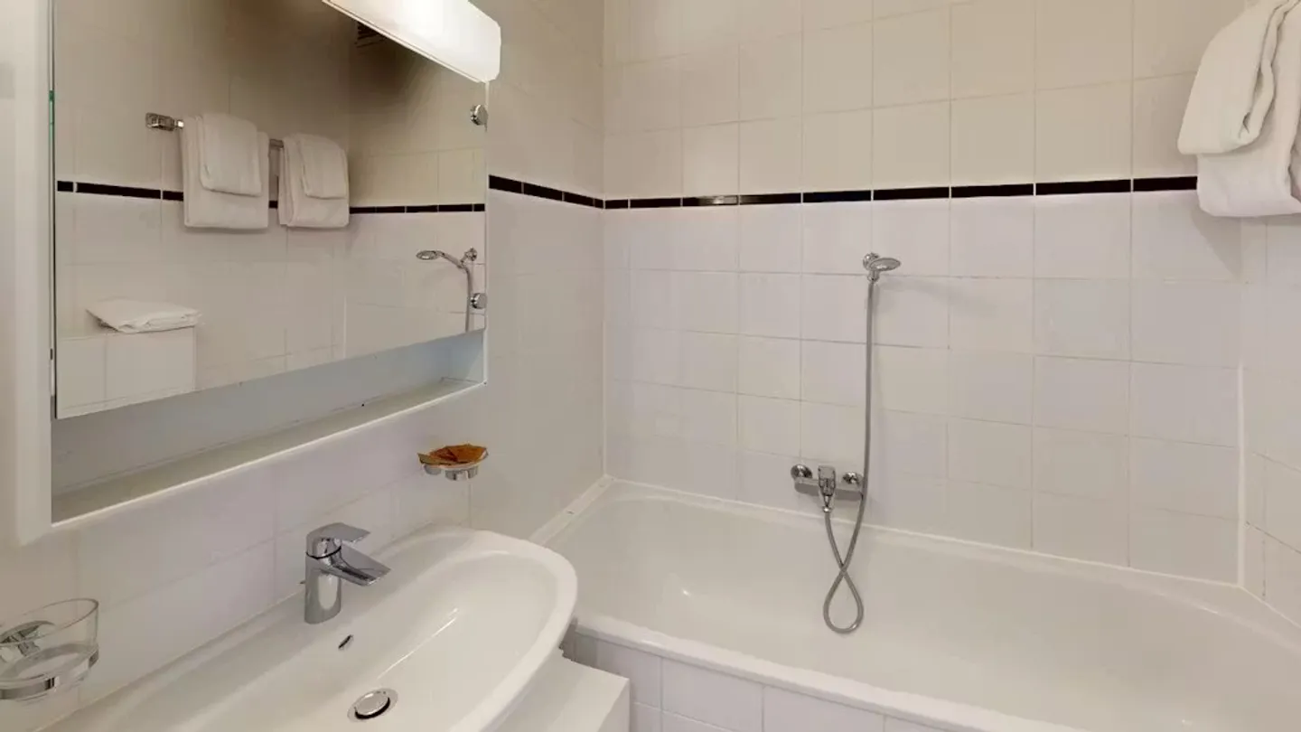 Charming Apartment in Geneva - Photo 10 of 10