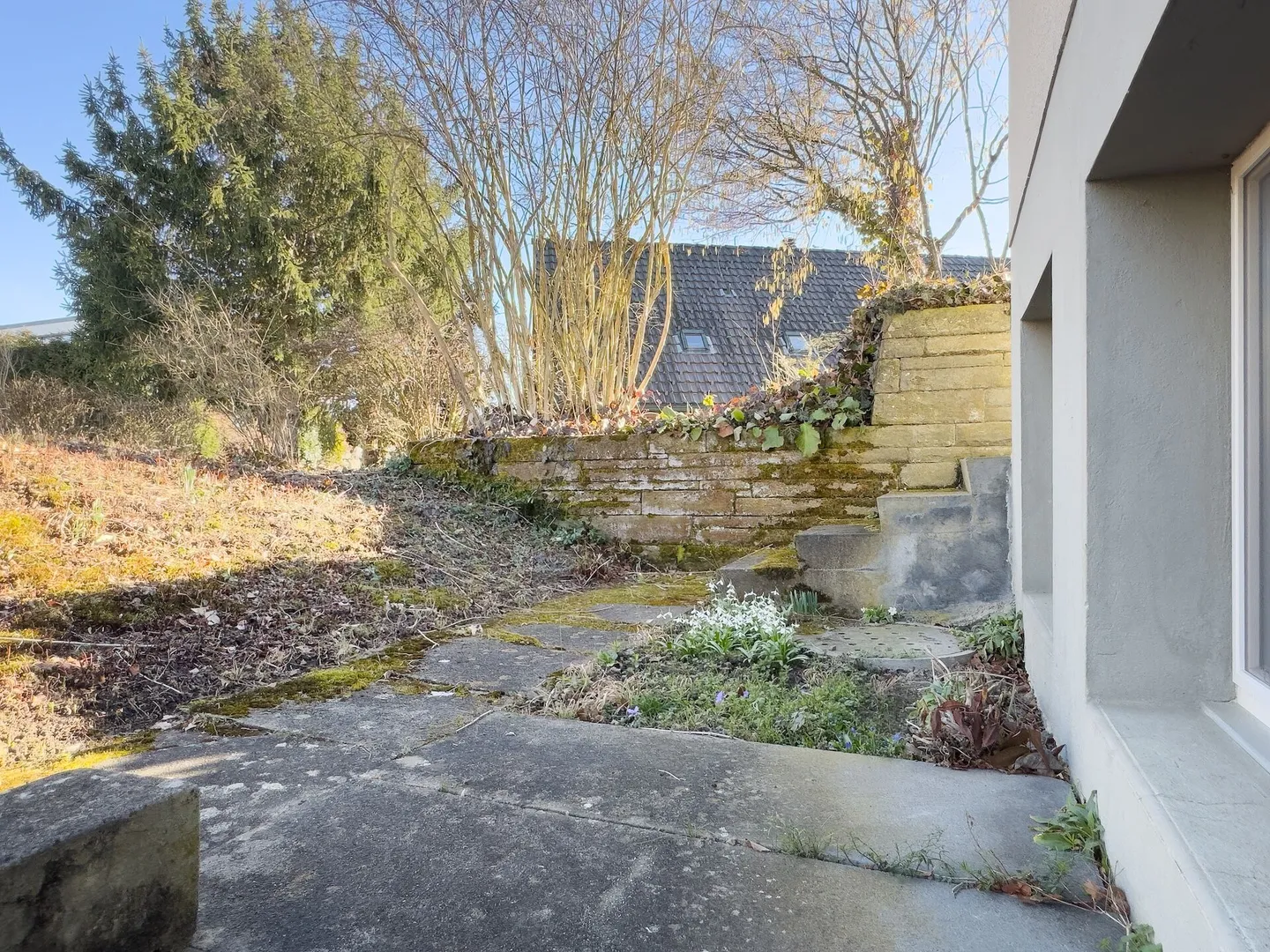 Maison individuelle de 7 pièces avec jardin d'hiver luxueux, bel environnement et piscine extérieure - Photo 32 sur 43
