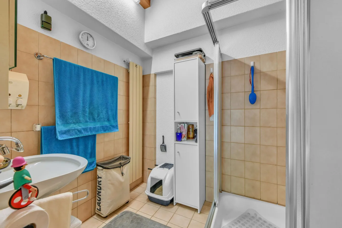 Una casa piena di vita nel cuore della Bündner Herrschaft - Foto 19 di 29