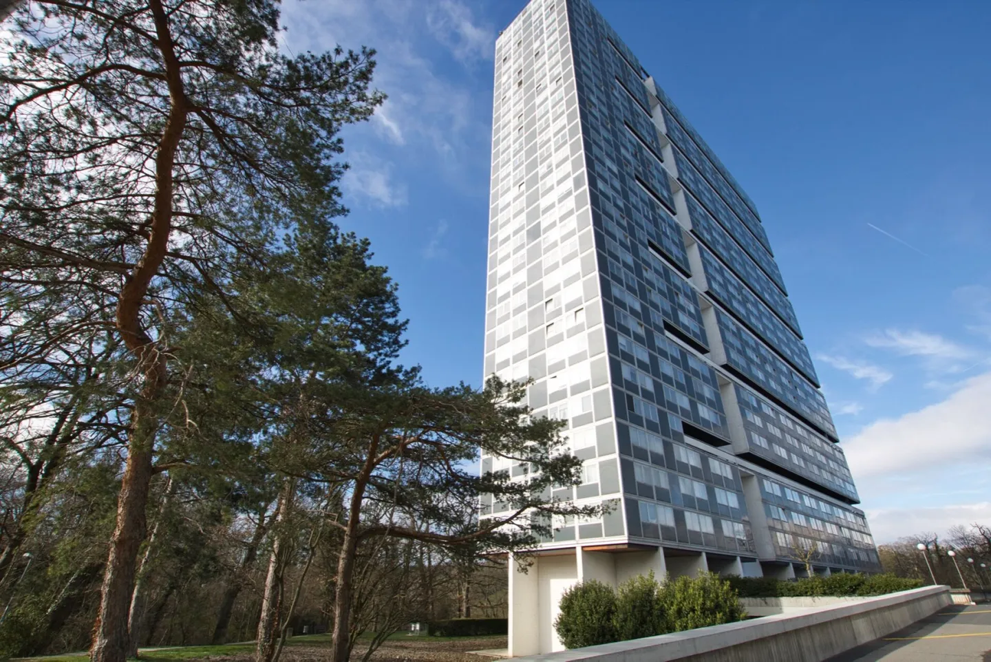 Renovation Opportunity Apartment - Photo 1 of 5