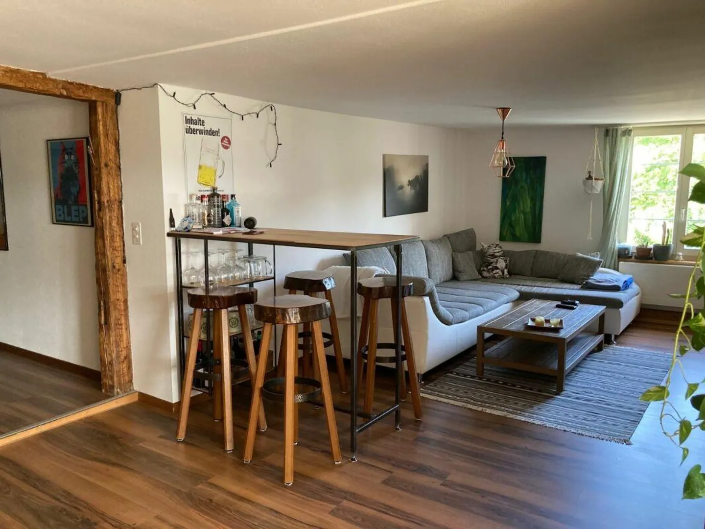 Appartamento 2 locali con vista sul Reno - Foto 2 di 7
