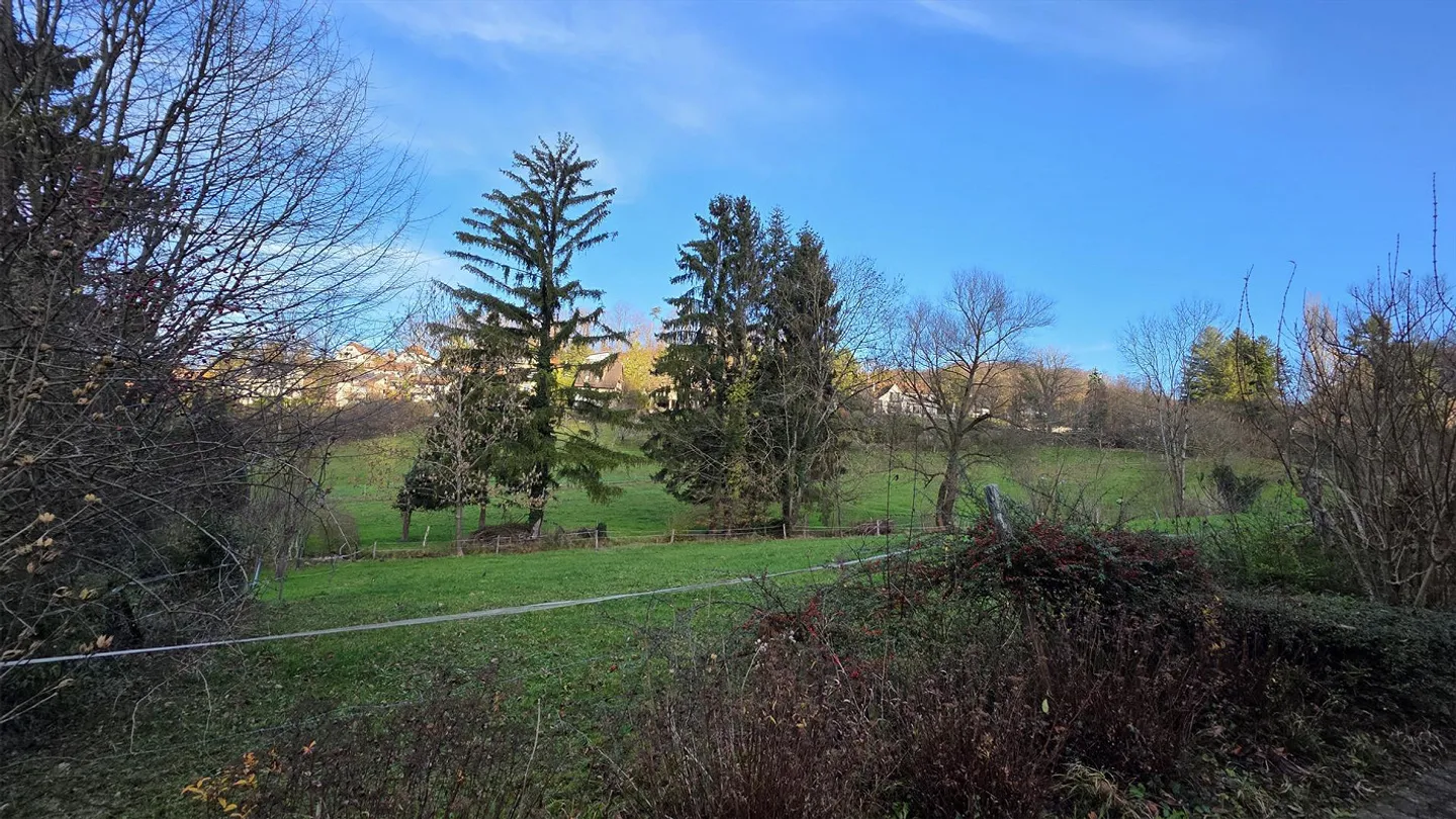 Charmantes Duplex mit Garten in Riehen - Foto 1 von 9