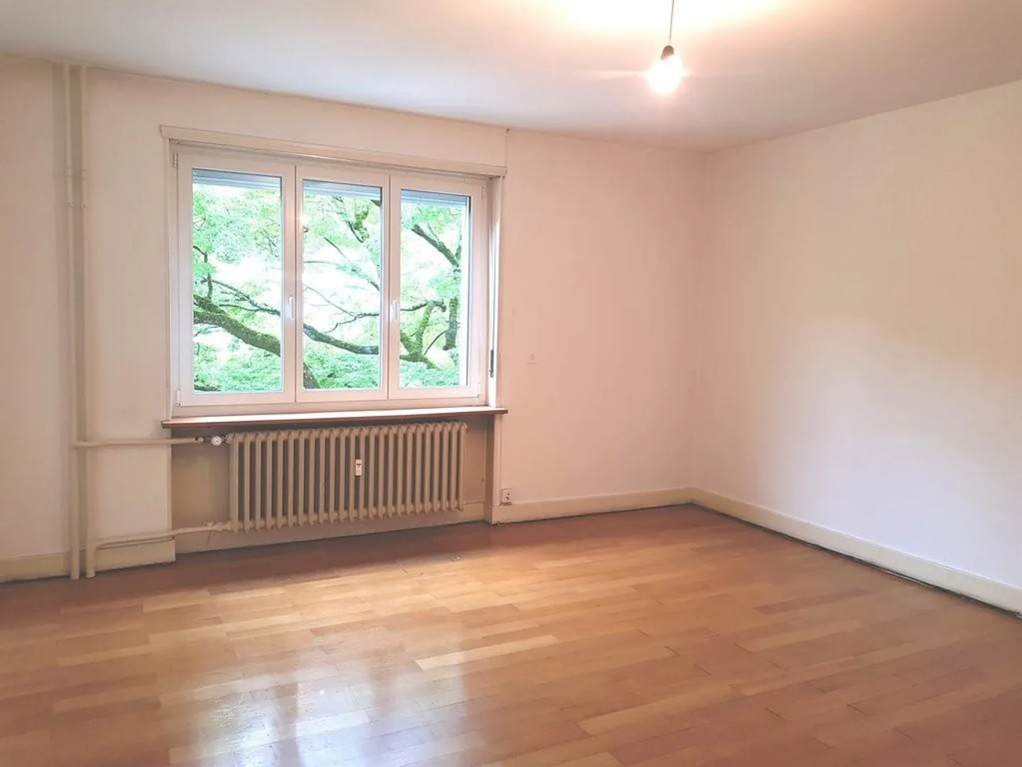 centrally located apartment - Photo 4 of 6