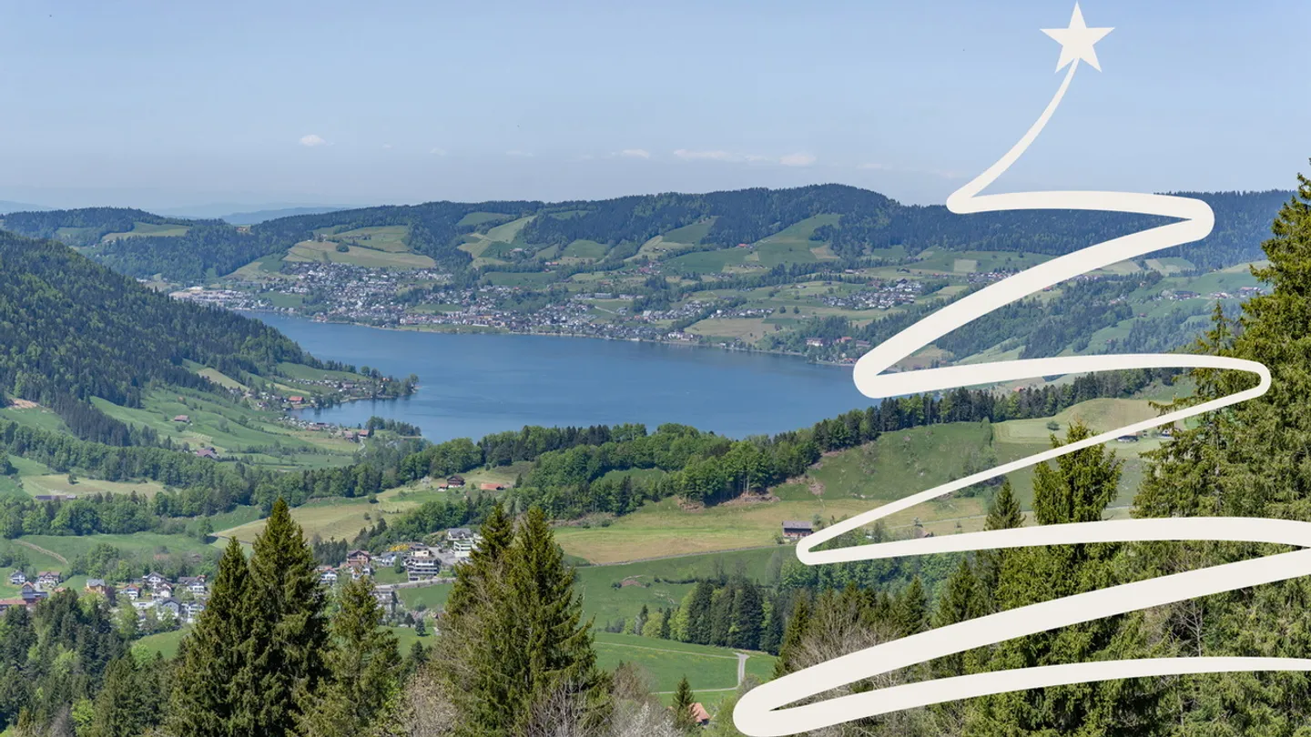 Sattel-Hochstuckli SZ Una casa per momenti speciali - Foto 1 di 5