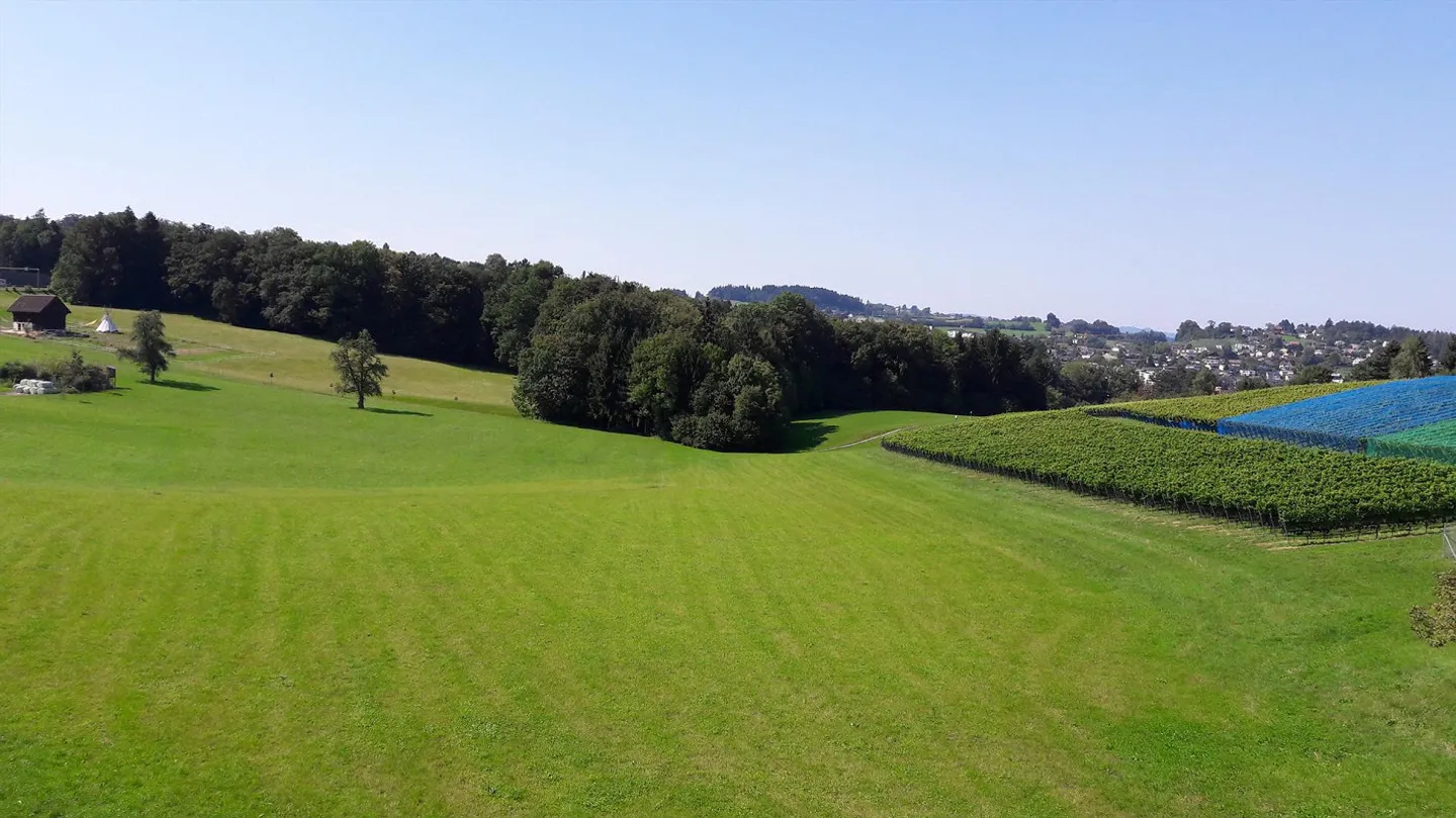 Appartement Loft en Duplex sous les toits à Wollerau - Photo 3 sur 6