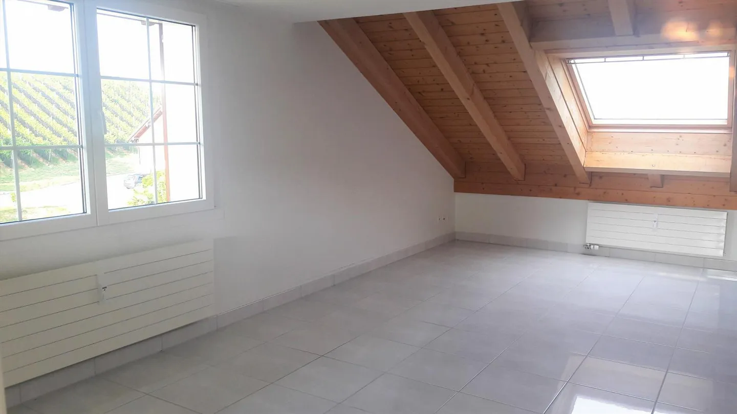 Appartement Loft en Duplex sous les toits à Wollerau - Photo 6 sur 6