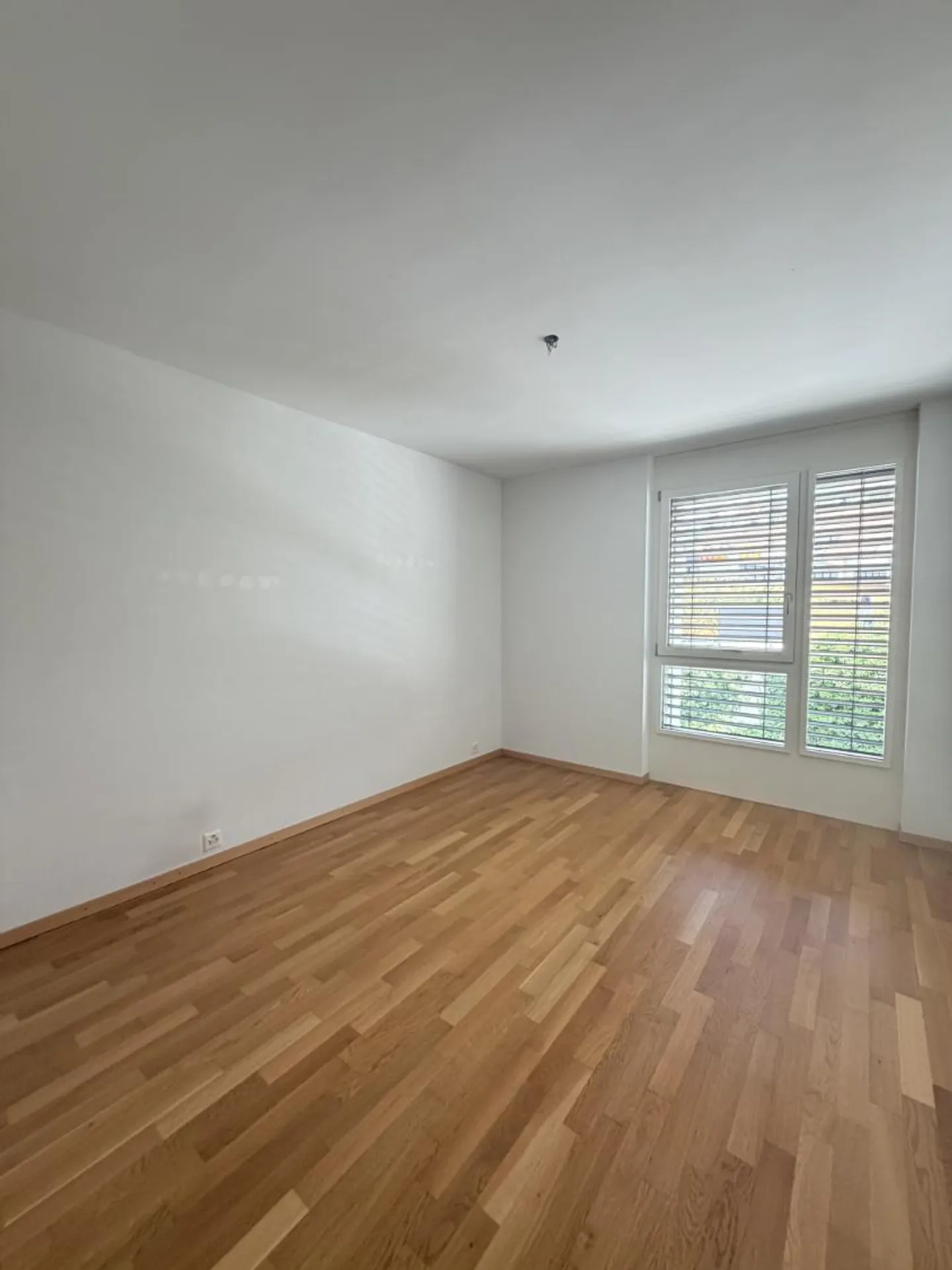 3.5 Room Apartment - Photo 3 of 8