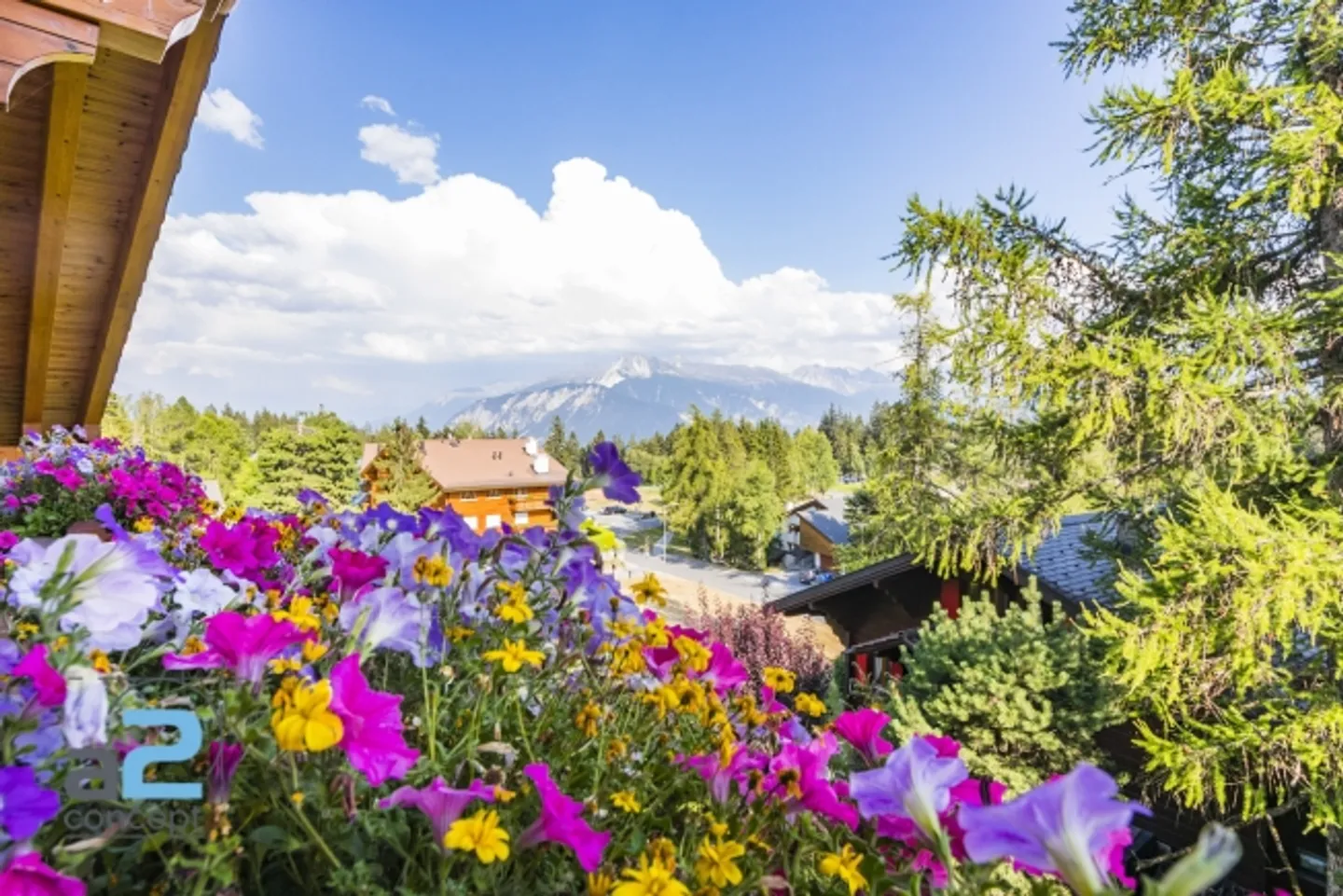 Gemütliches Penthouse mit Panoramablick - Foto 1 von 20