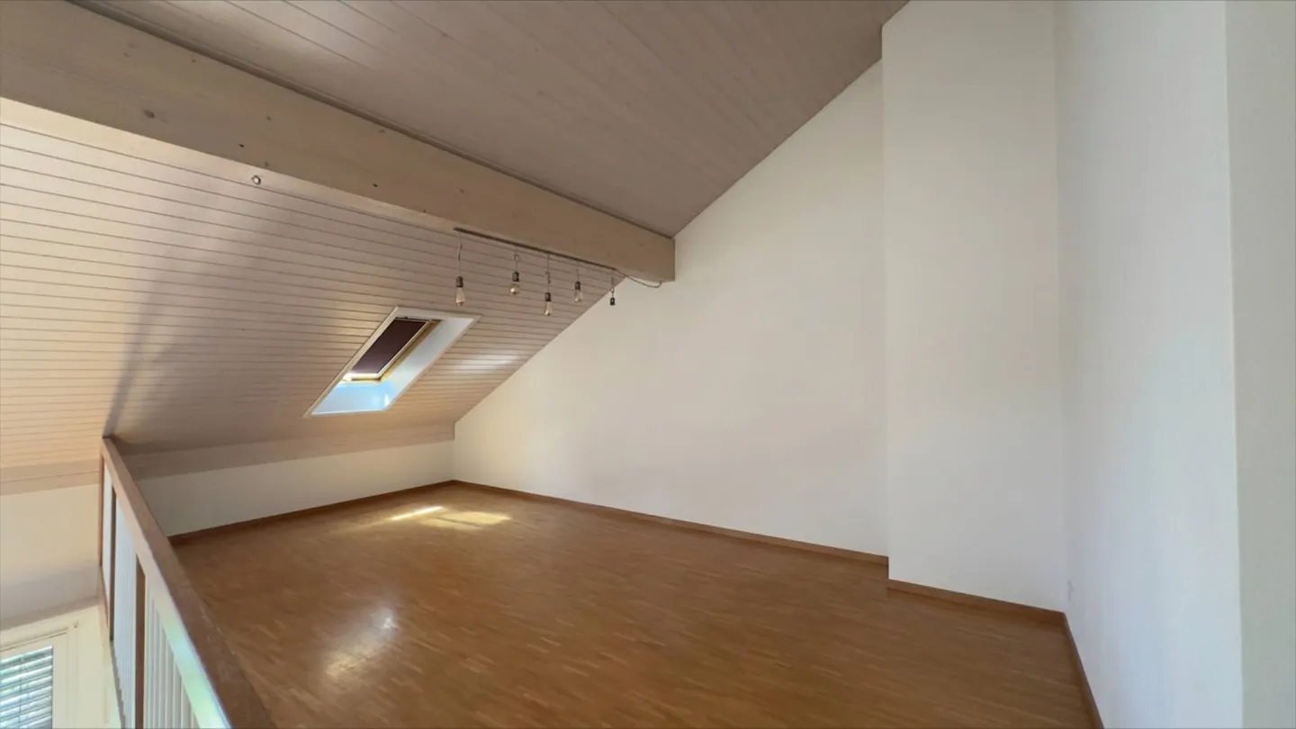 Attic 7 rooms - Photo 6 of 12