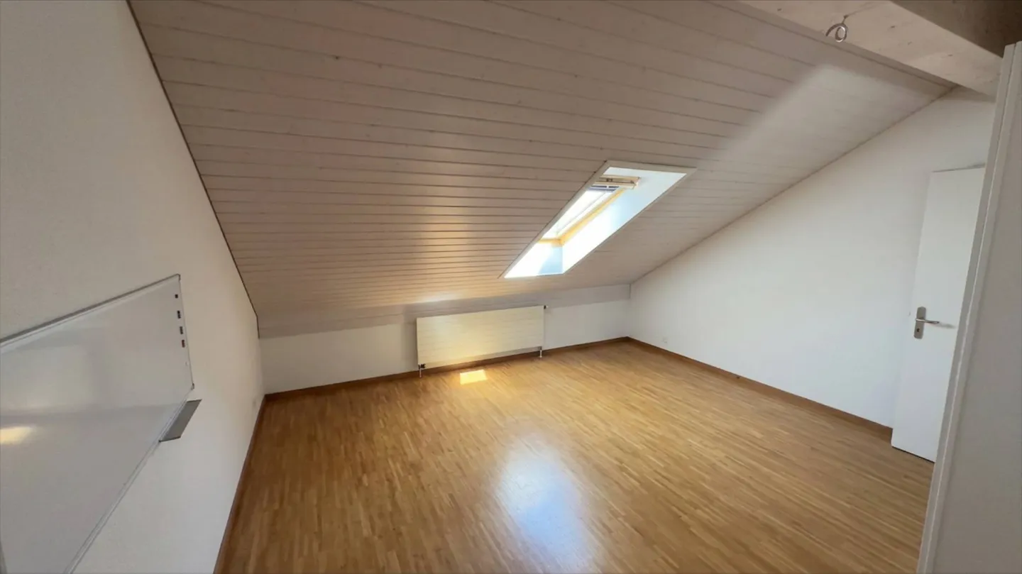 Attic 7 rooms - Photo 7 of 12
