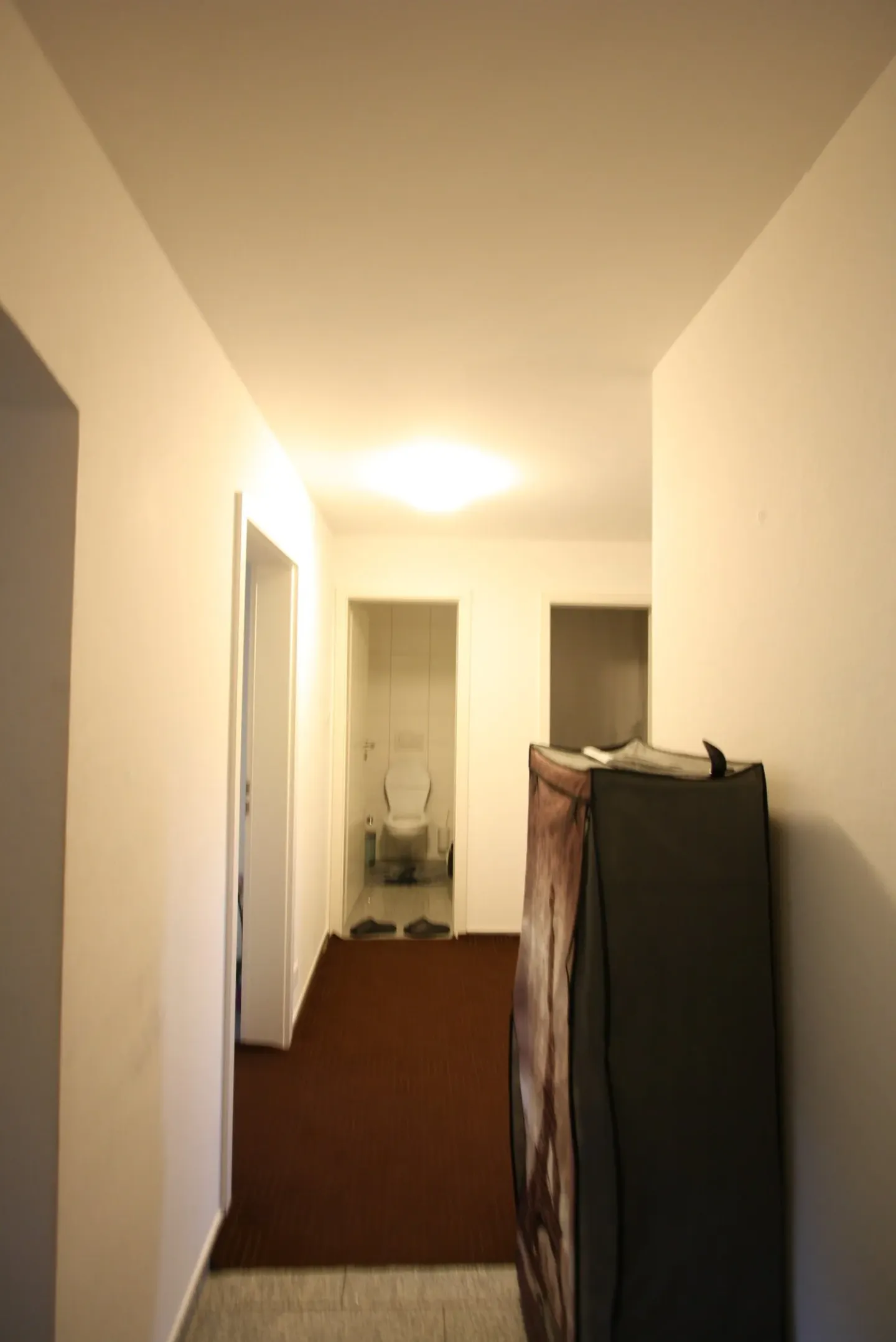 Incantevole appartamento mansardato con 2 camere a Bern-Wabern - Foto 3 di 14