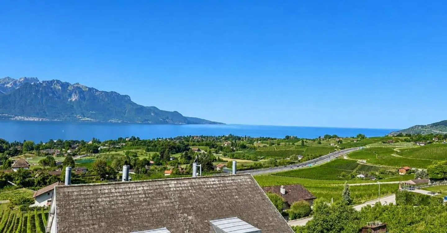 Doppelhaushälfte mit 5,5 Zimmern und Panoramablick auf den See und die Alpen! - Foto 9 von 11