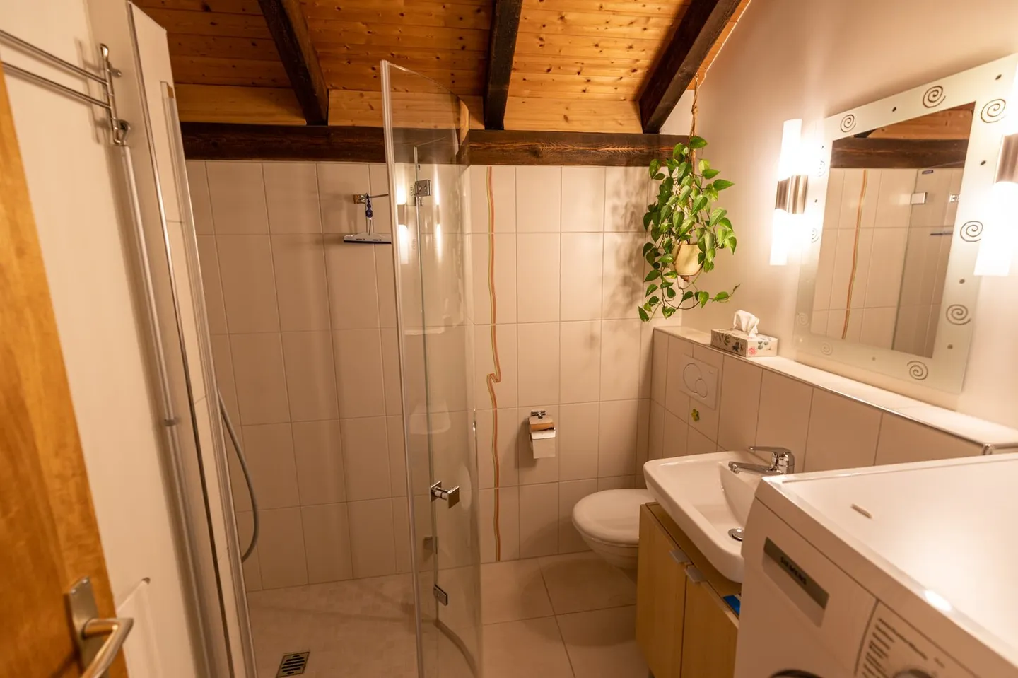 Spacious, Charming Attic Apartment in Idyllic Family Neighborhood - Photo 8 of 8