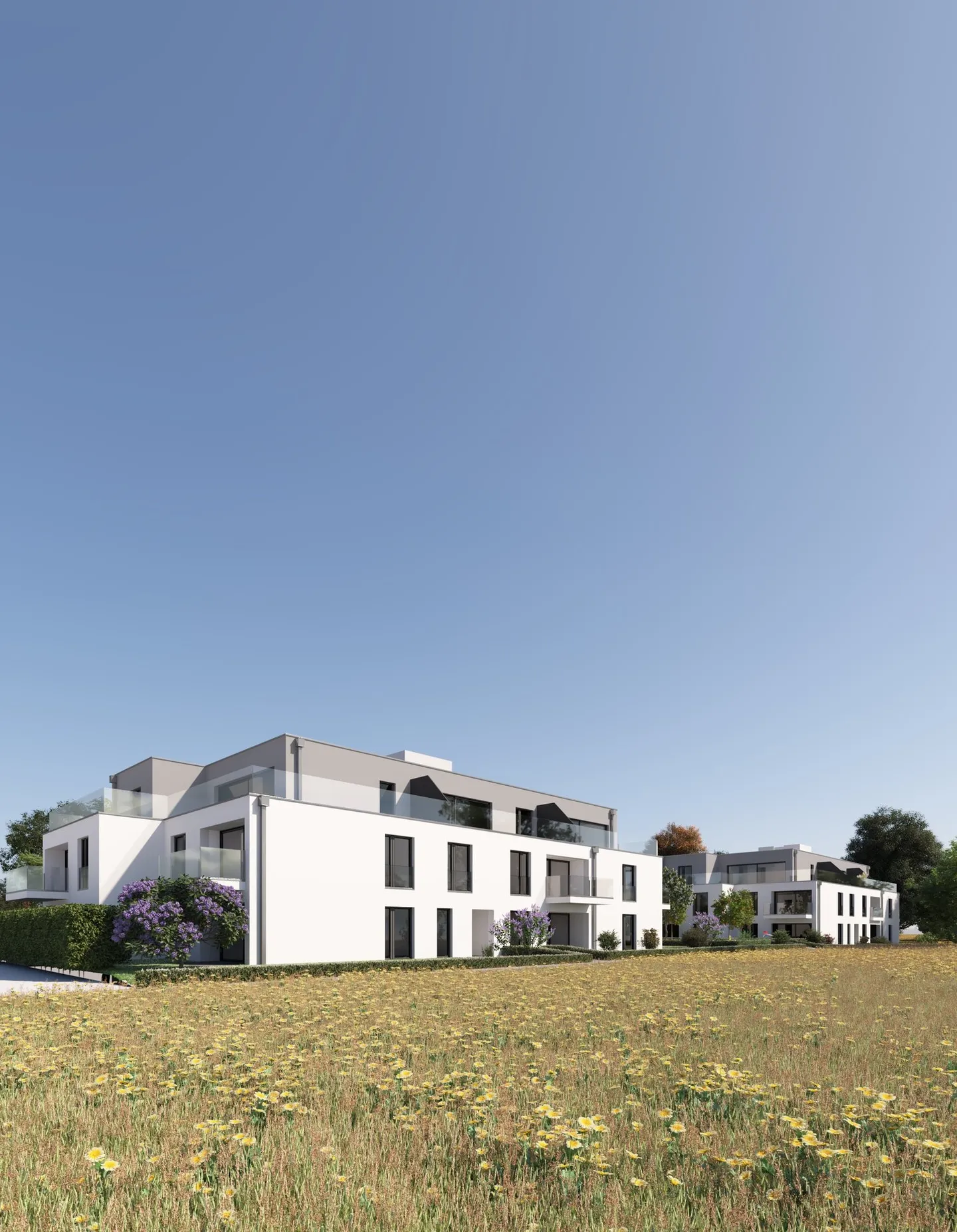 Neue 2,5-Zimmer-Wohnung in Erlach - Foto 5 von 5