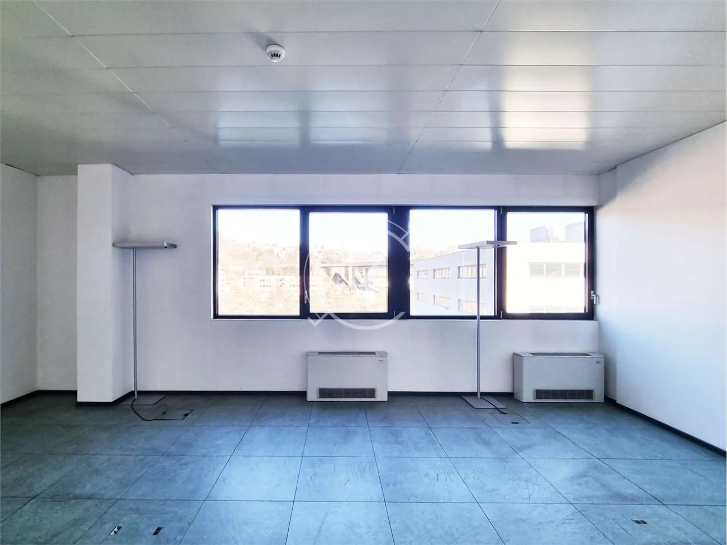 Wir vermieten ein großes Büro oder ein Geschäftslokal - Foto 3 di 5