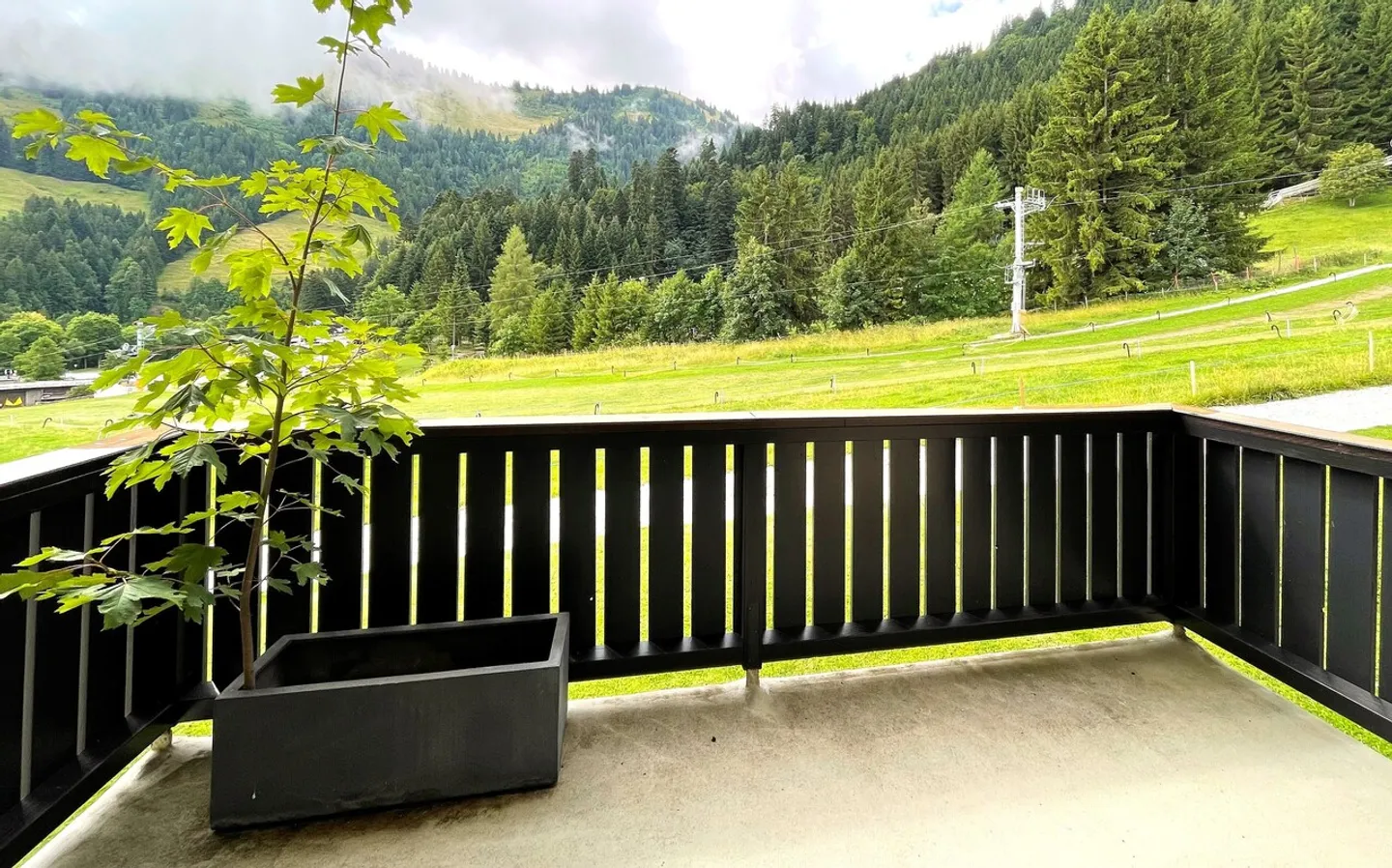 MOLESON | APPARTAMENTO 2.5 p - Foto 8 di 8