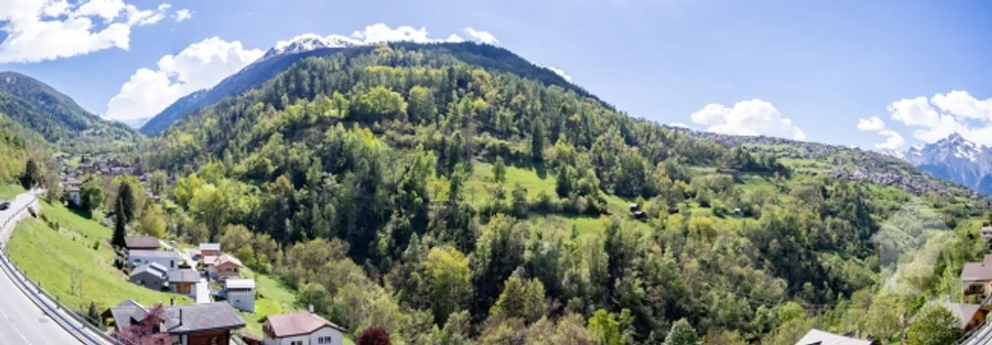 Large house with 7.5 rooms with body construction on the ground floor rare offer - Photo 4 of 13