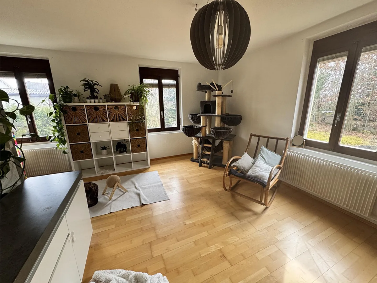 2 maisons sur un terrain - Photo 11 sur 28