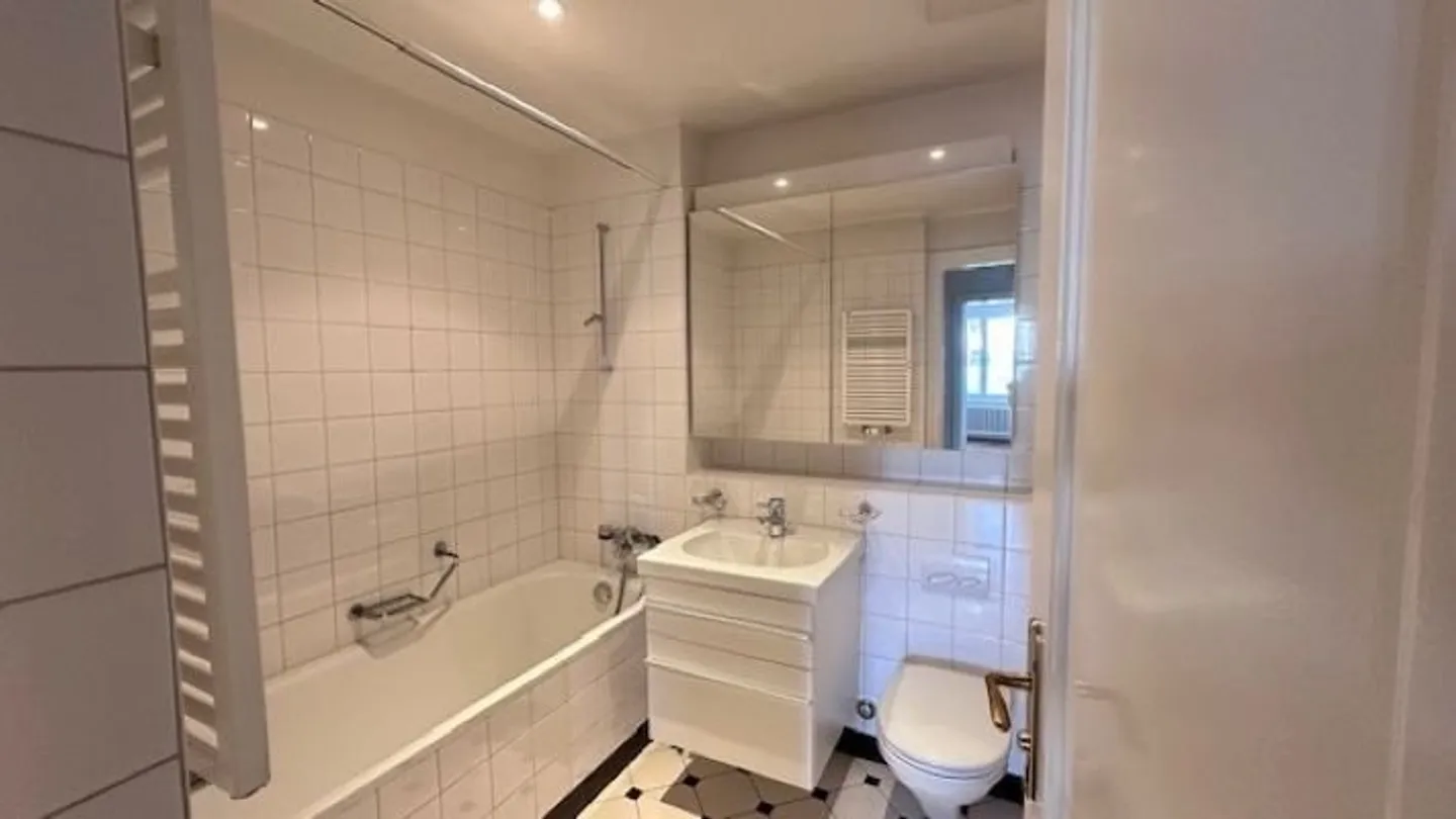 Fully renovated apartment - Photo 9 of 9