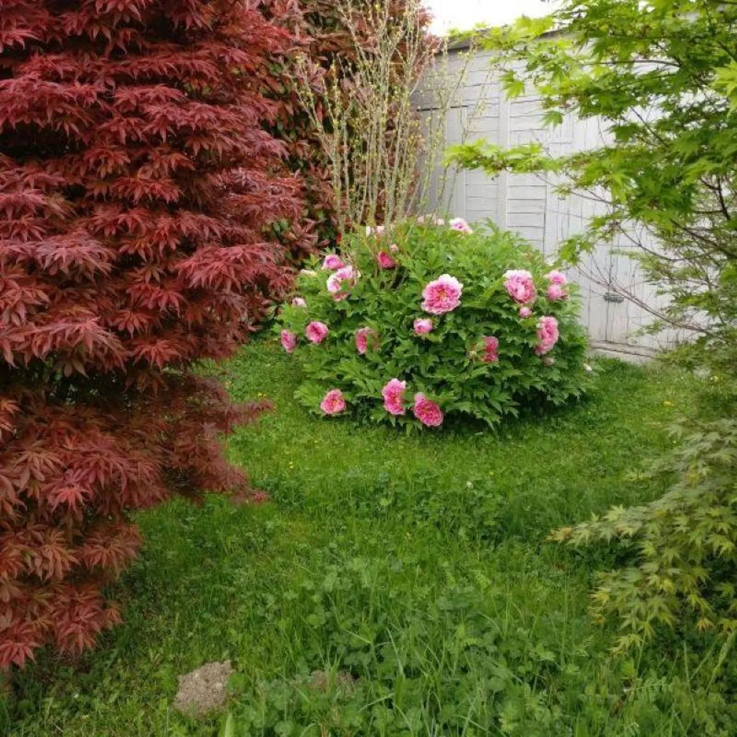 Villa modernista con 2 appartamenti - Foto 3 di 18