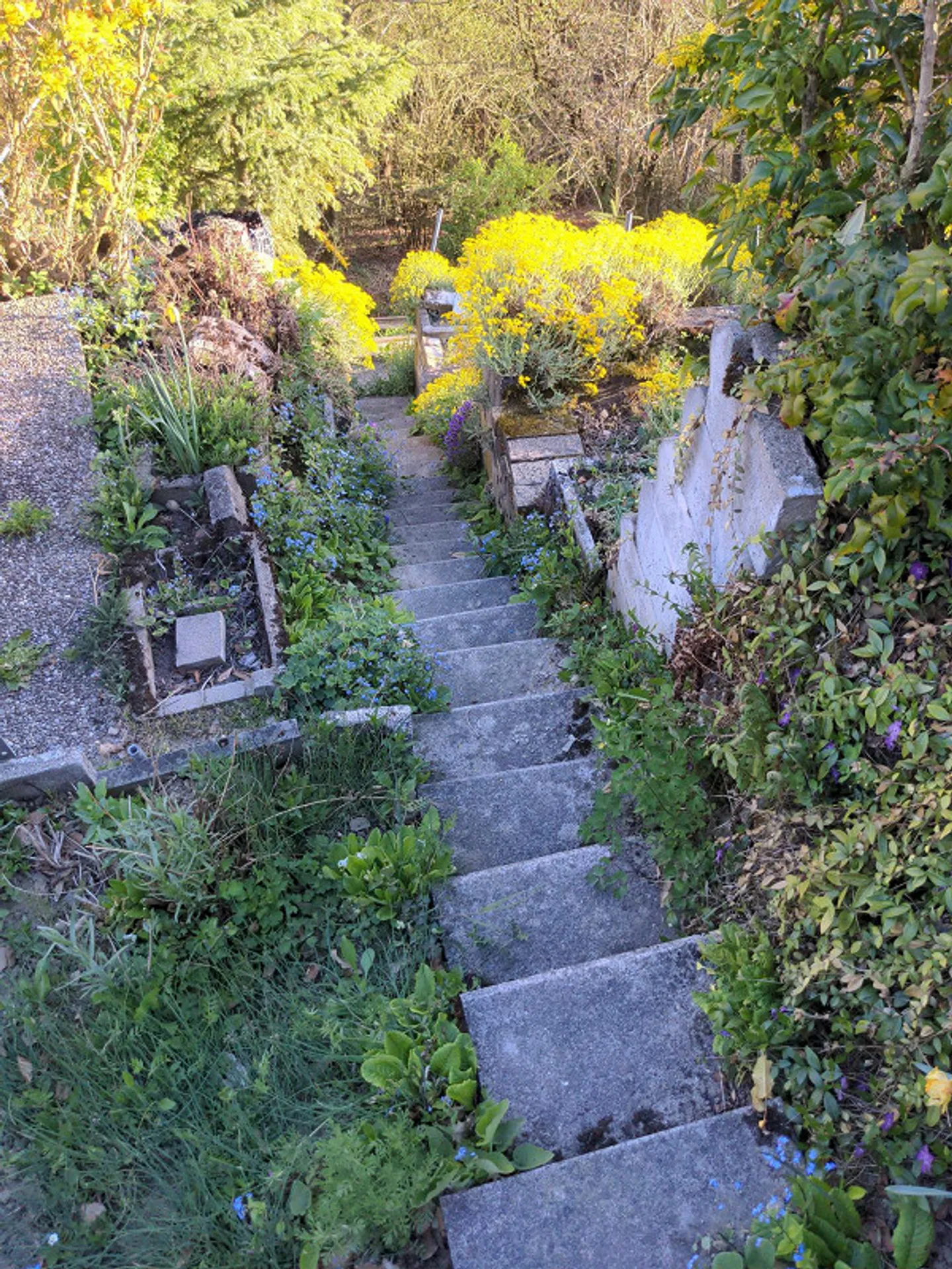 Incantevole casa indipendente nel verde - Foto 2 di 11