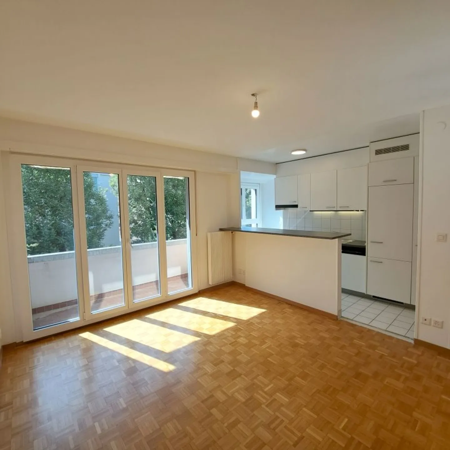 2.5 Room Apartment - Photo 2 of 4