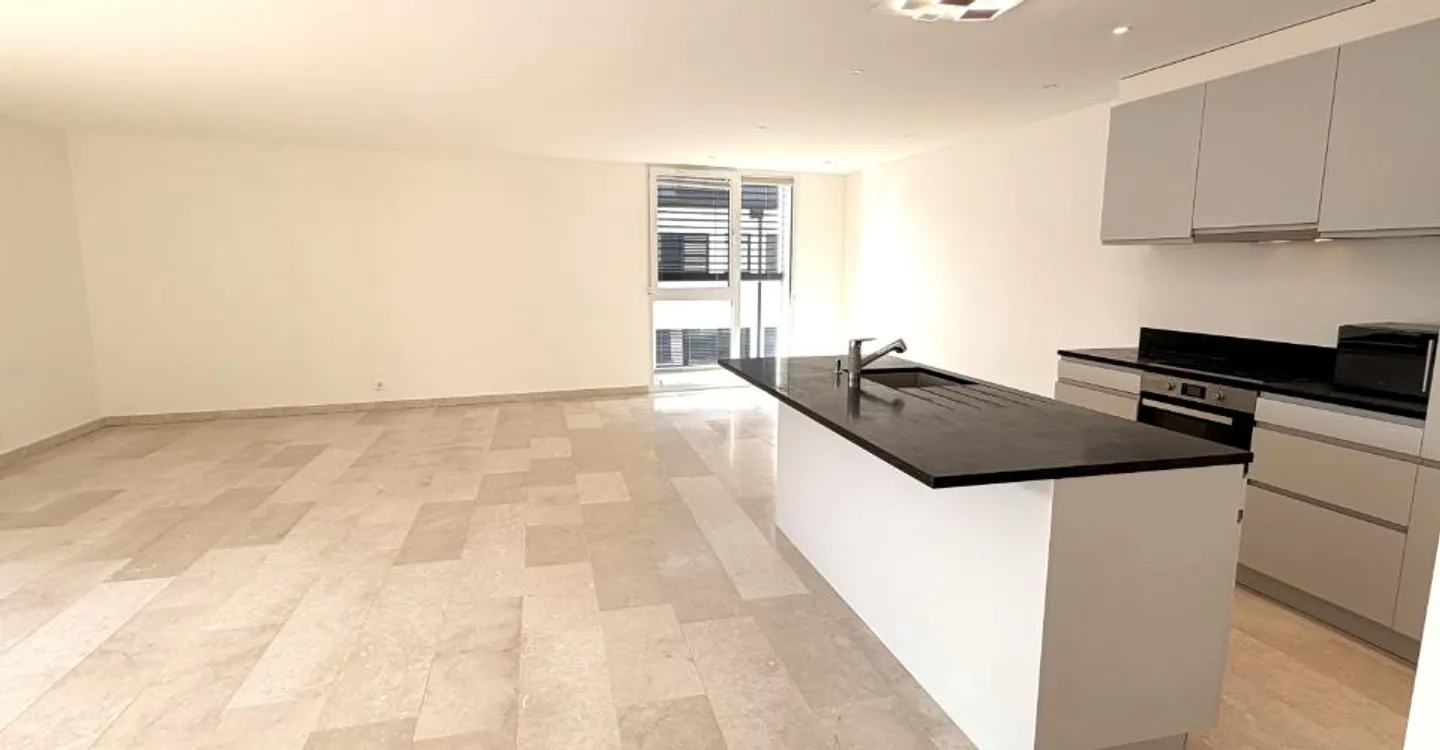 Spacious and bright with large terrace - Photo 6 of 11