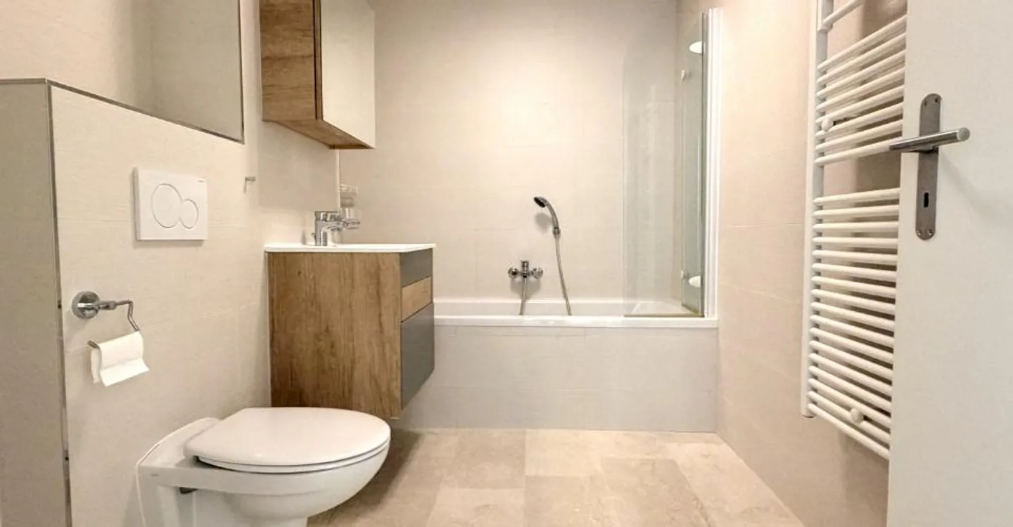 Spacious and bright with large terrace - Photo 9 of 11