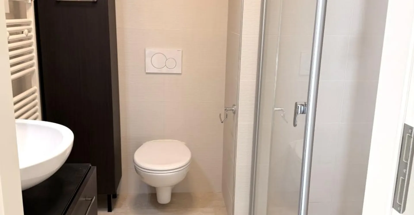 Spacious and bright with large terrace - Photo 10 of 11