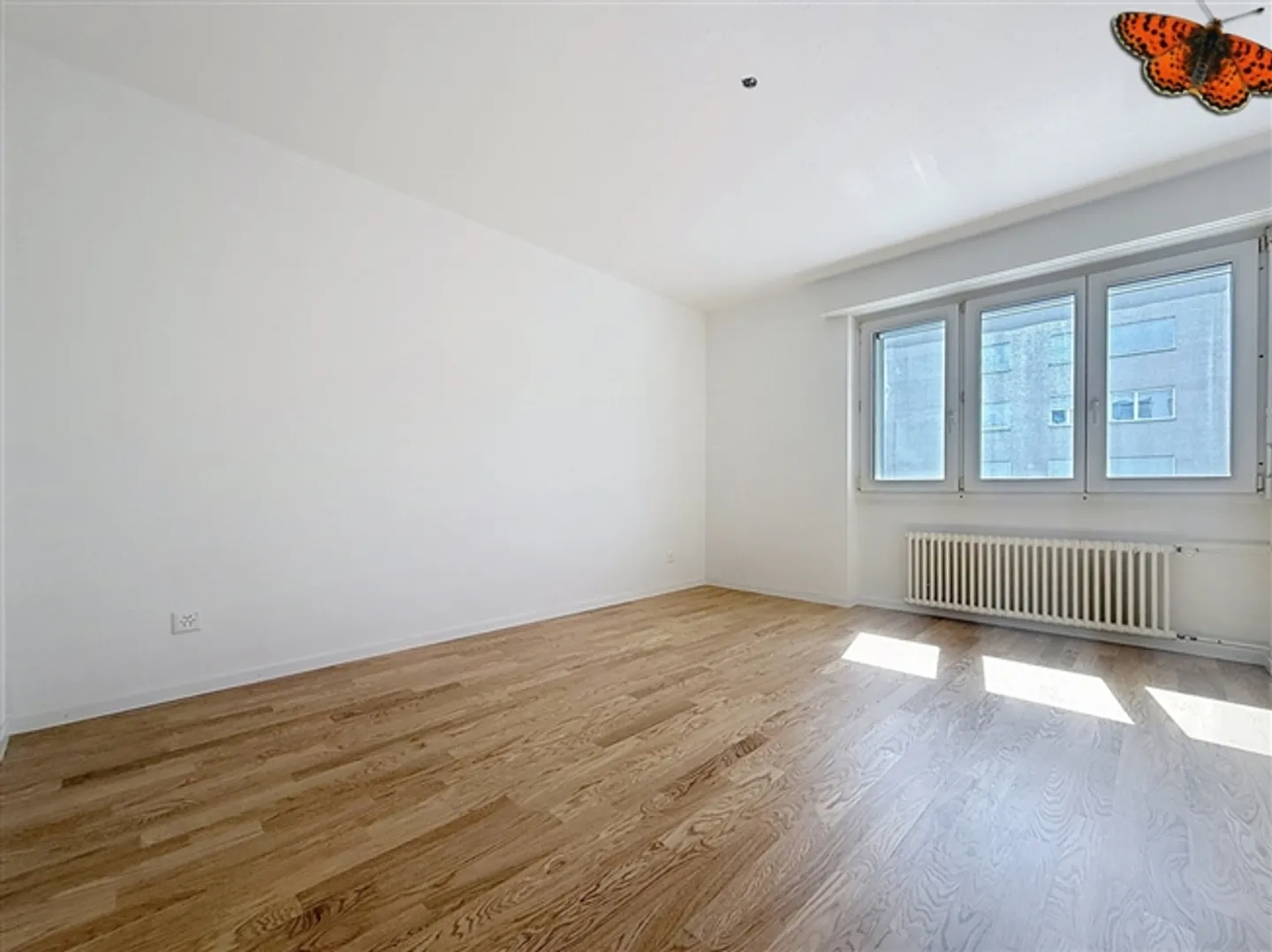 "4 1/2 ROOMS - Bright and Quiet!" - Photo 6 of 8