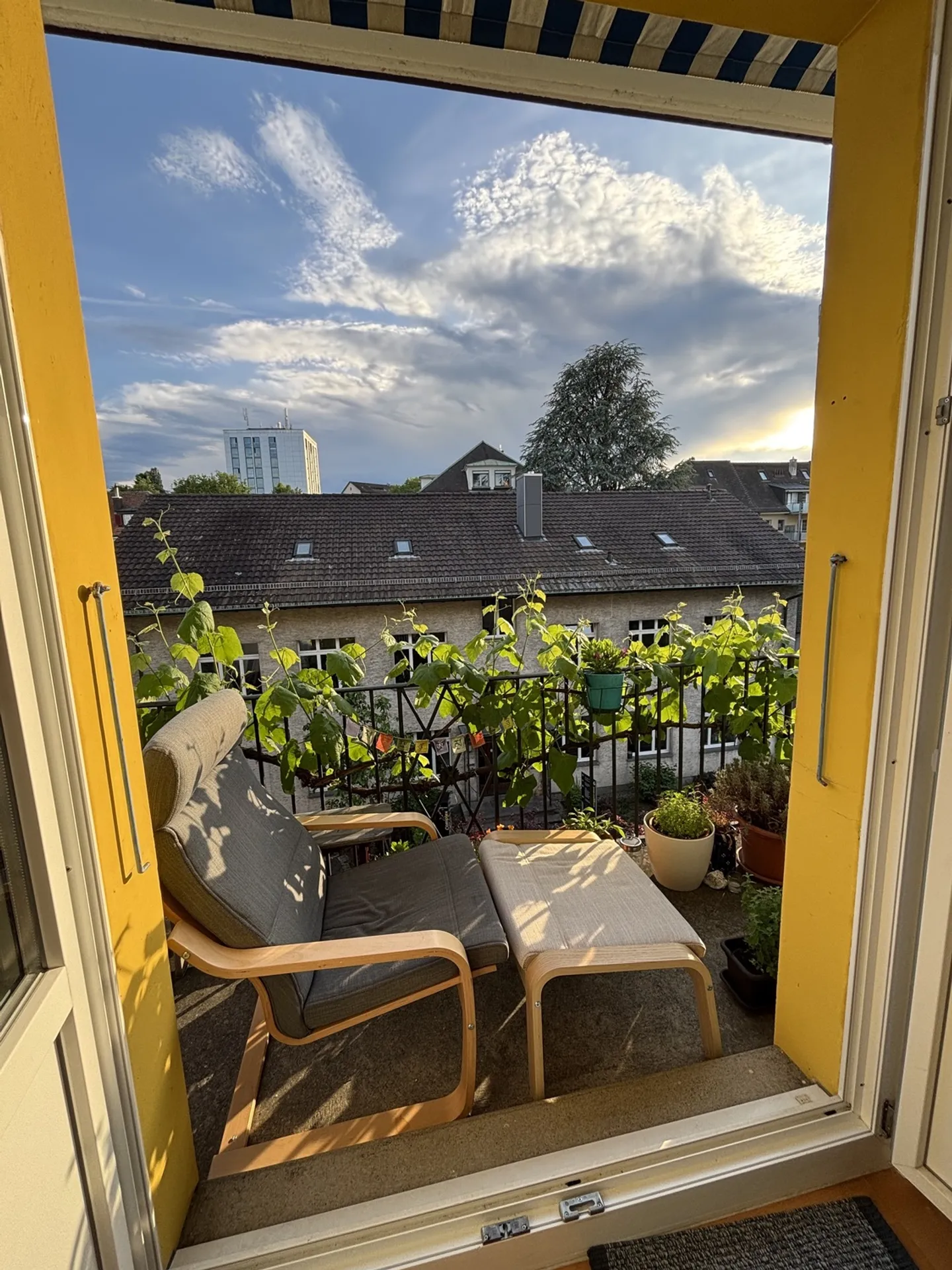 3½ ROOM APARTMENT IN BERN - SANDRAIN, FURNISHED, TEMPORARY - Photo 7 of 7