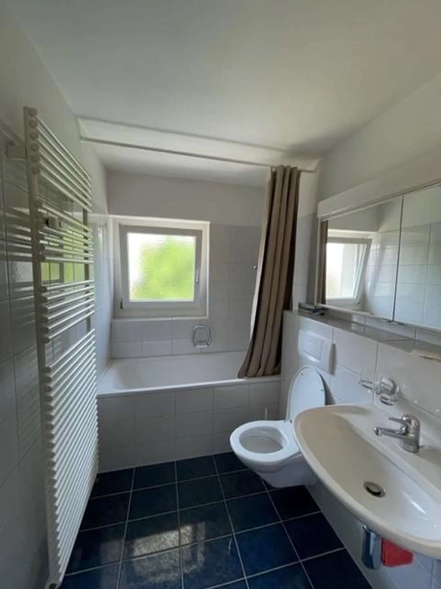 appartamento 2.5 camere affascinante e luminoso in posizione centrale - Foto 3 di 4