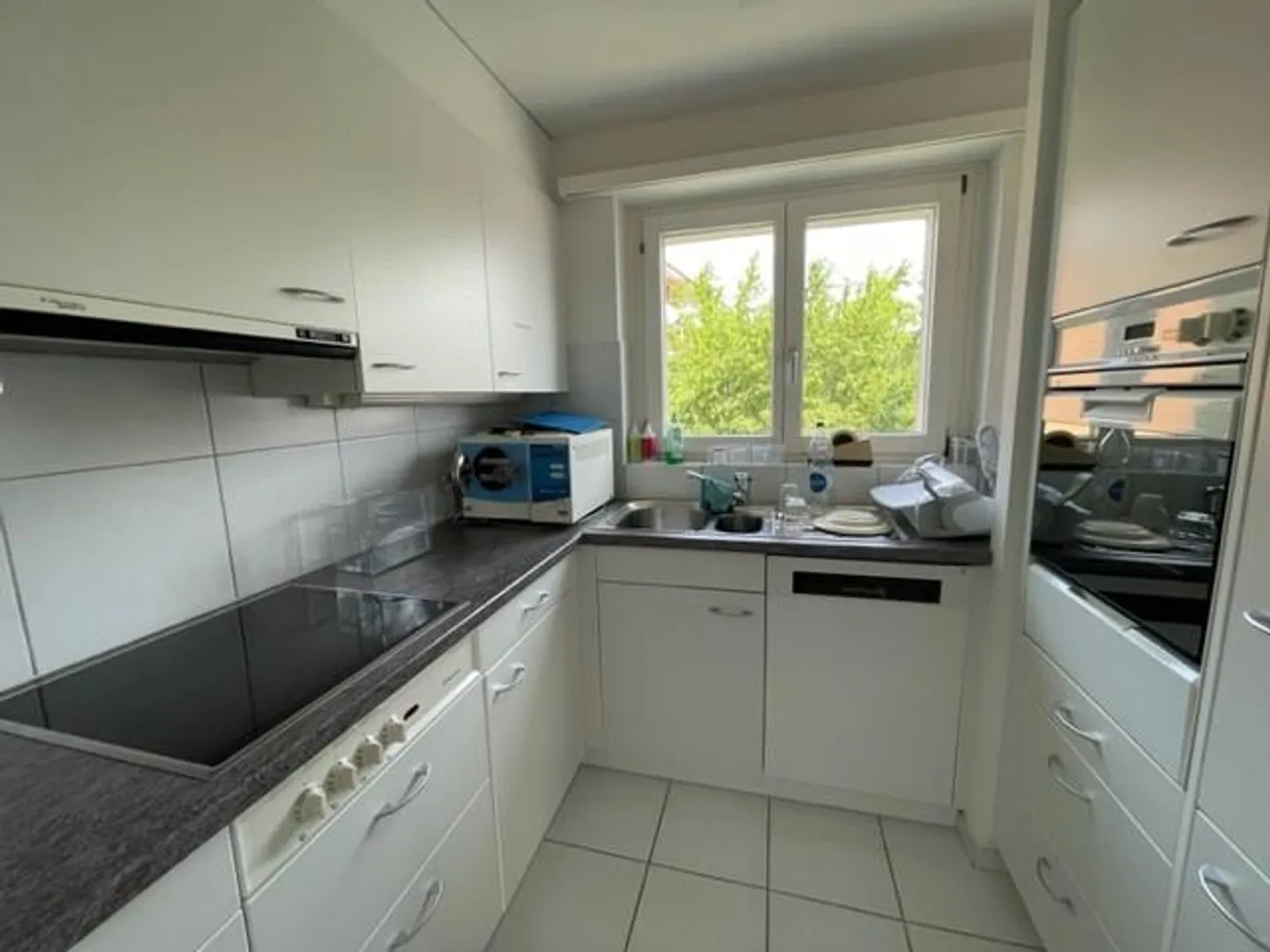 appartamento 2.5 camere affascinante e luminoso in posizione centrale - Foto 4 di 4