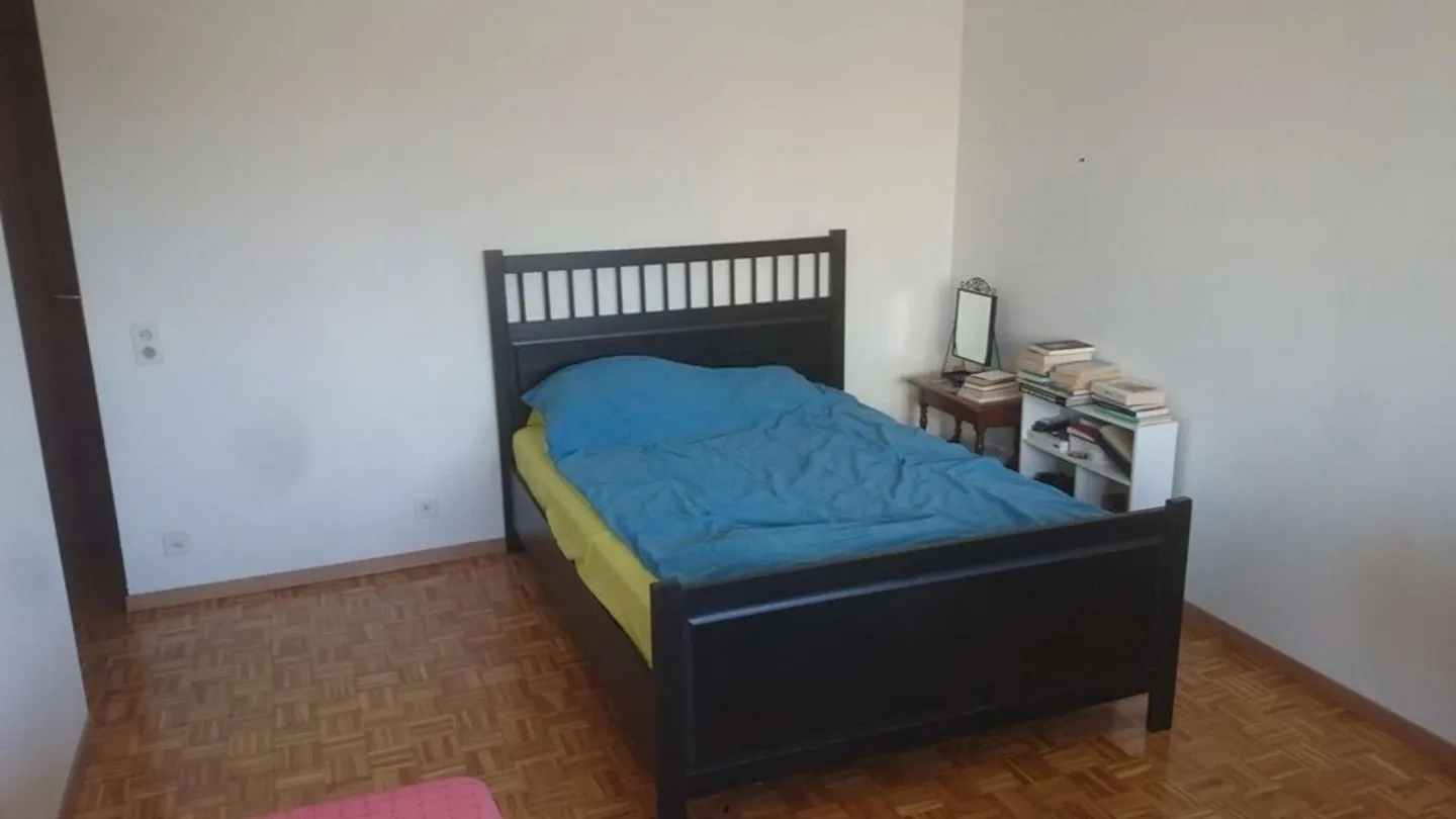 1-room apartment - Photo 3 of 5