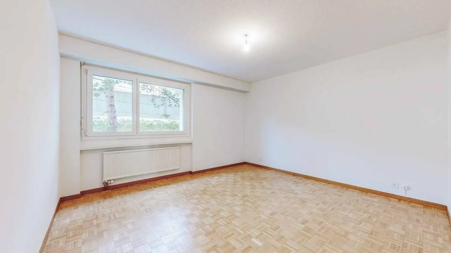 Appartement au bord du lac - Photo 3 sur 12