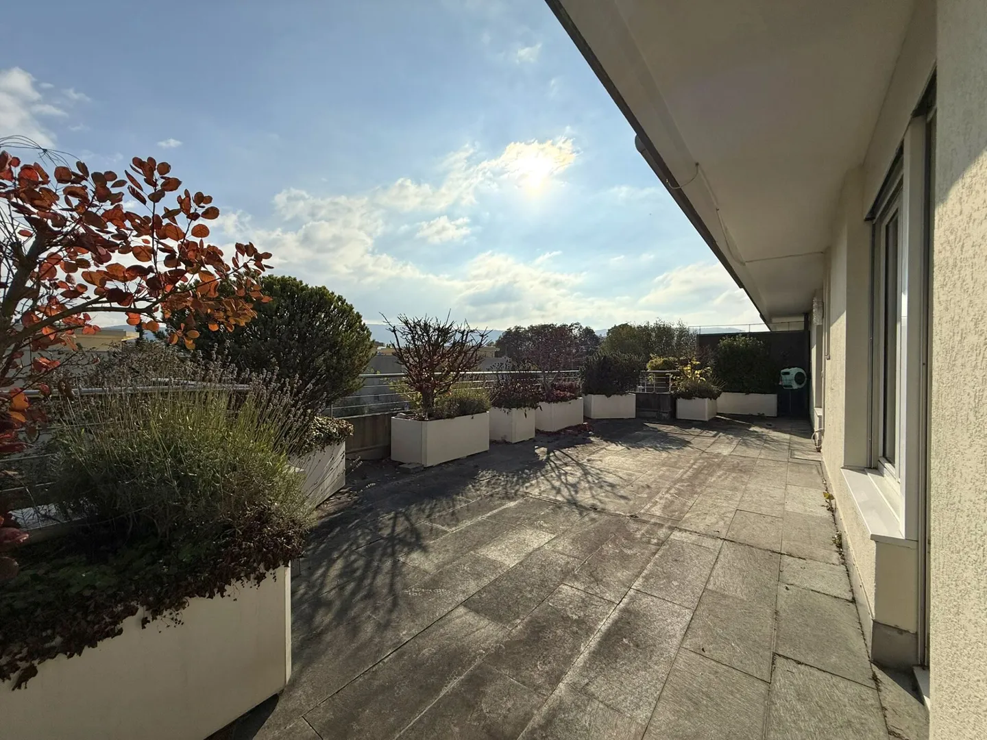 3.5-Room Penthouse Apartment - Photo 8 of 11