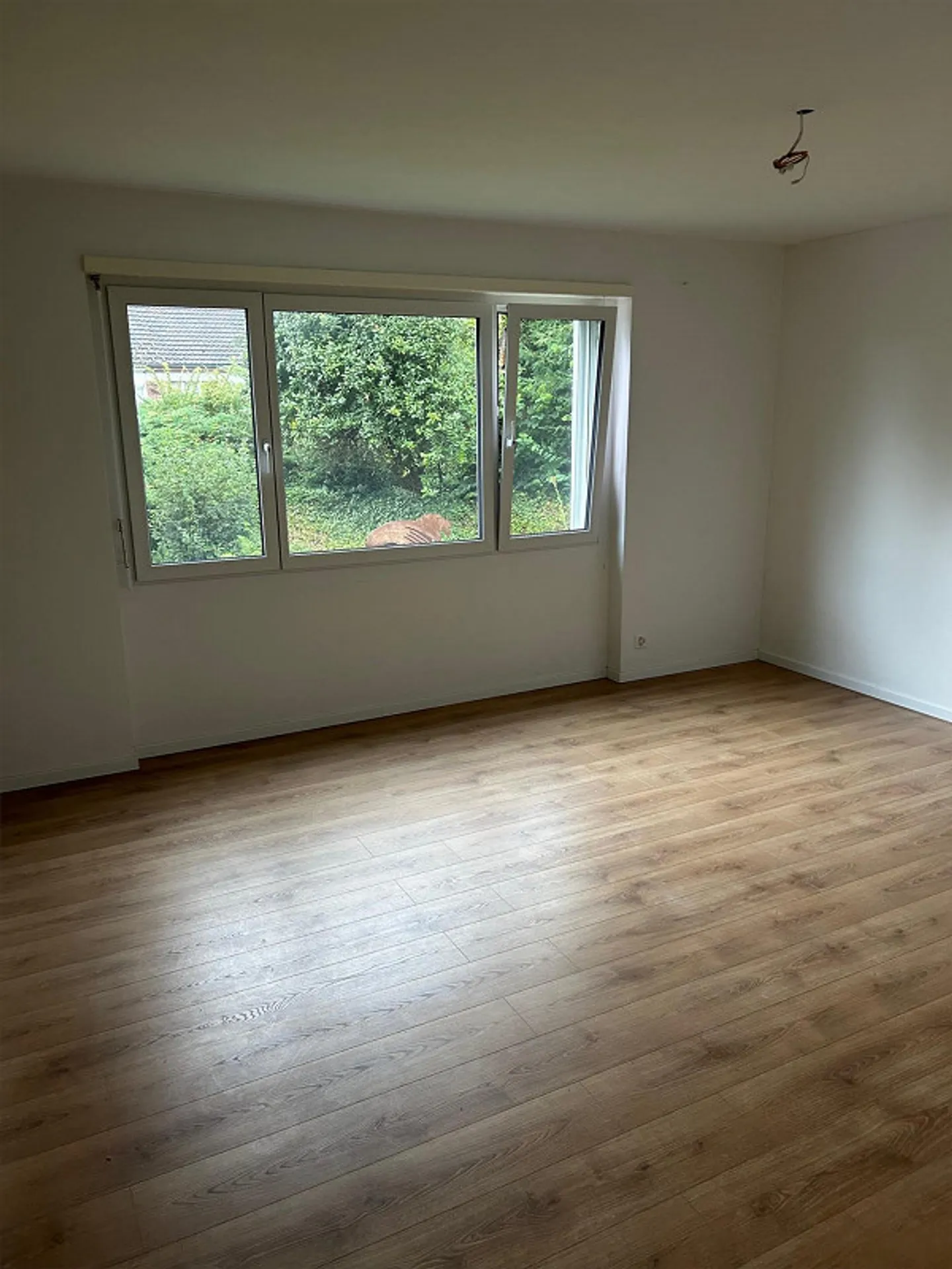 Exklusive, renovierte 5-Zimmer-Erdgeschosswohnung in Küsnacht - Foto 5 von 13
