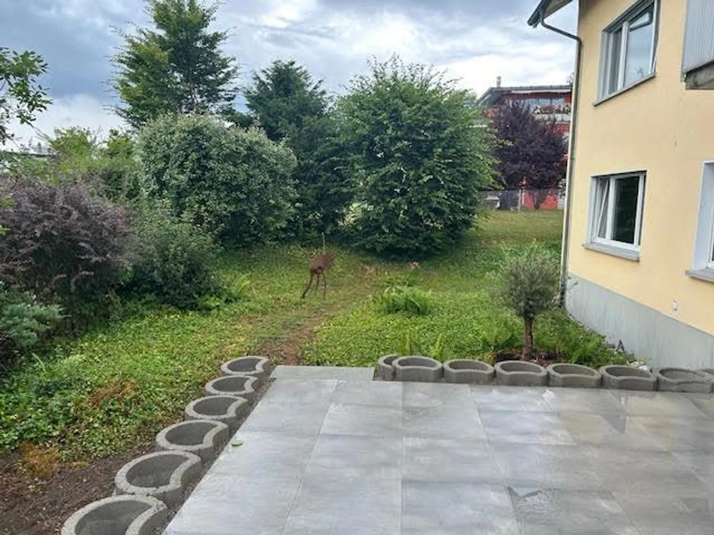 Exklusive, renovierte 5-Zimmer-Erdgeschosswohnung in Küsnacht - Foto 8 von 13