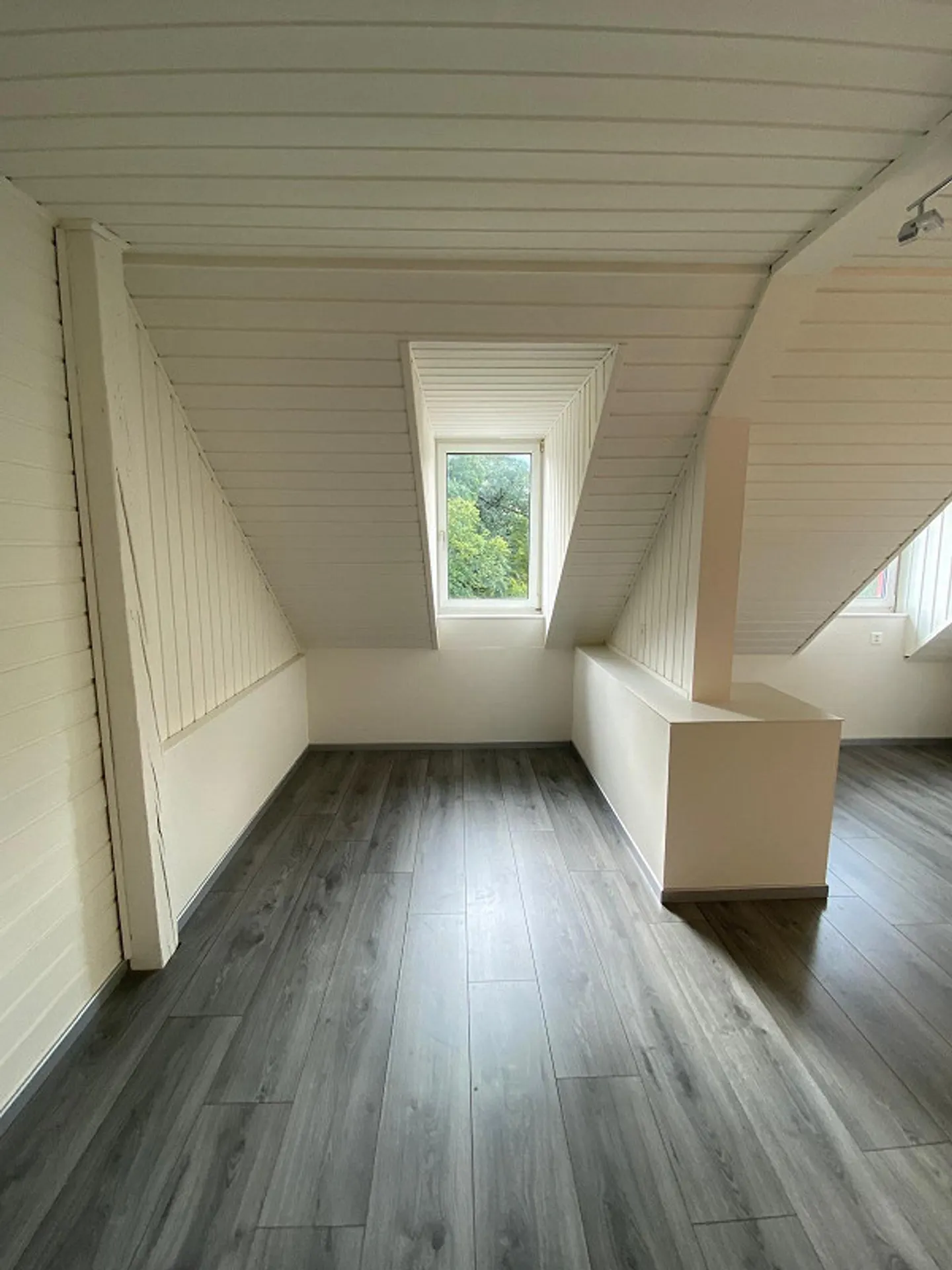 Gemütliche Wohnung Am Park - Foto 1 von 13
